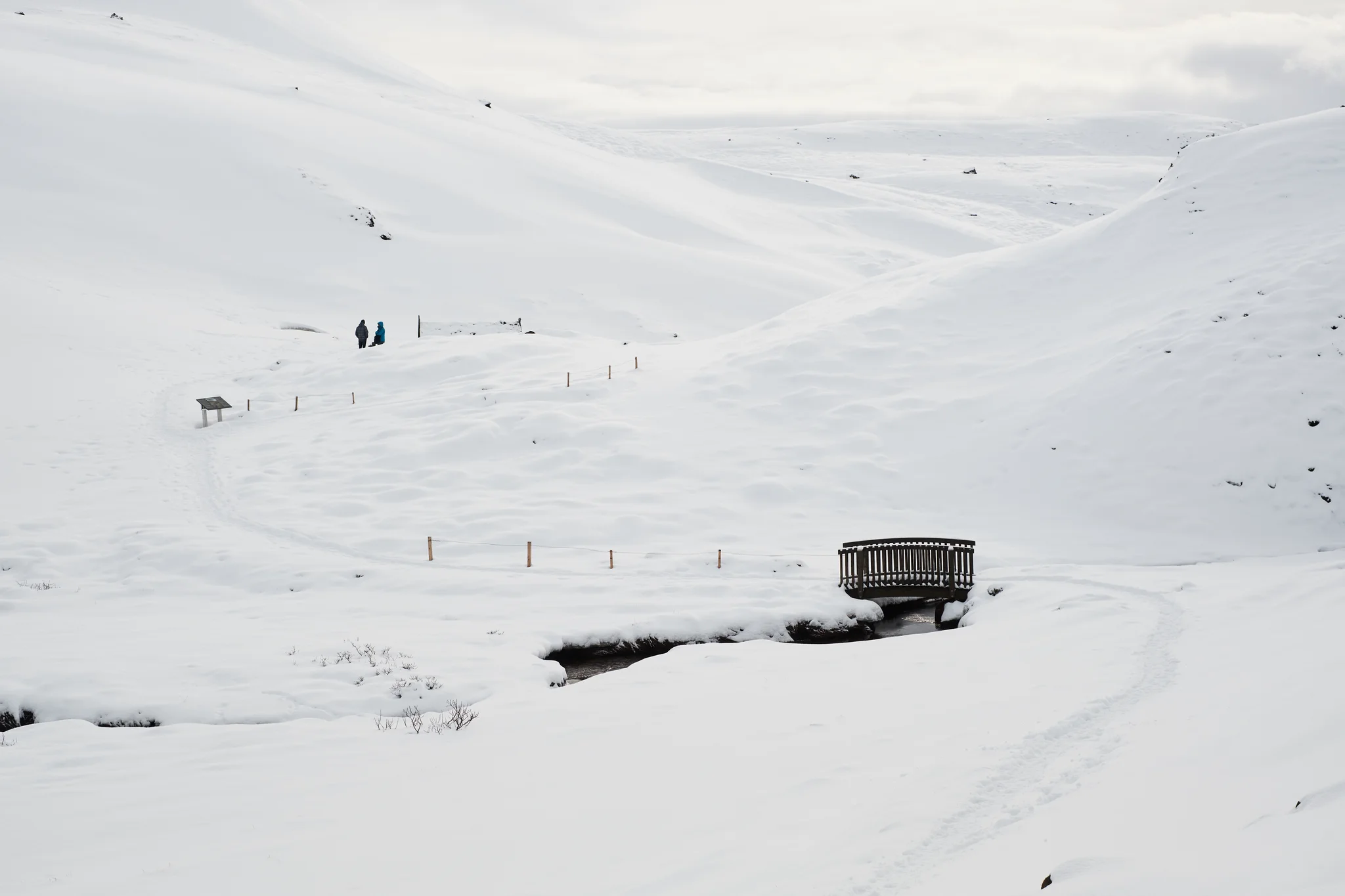 DSCF6217.webp