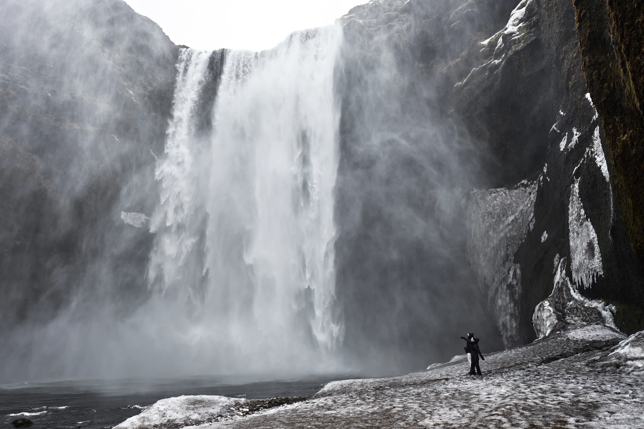 DSCF6229.webp