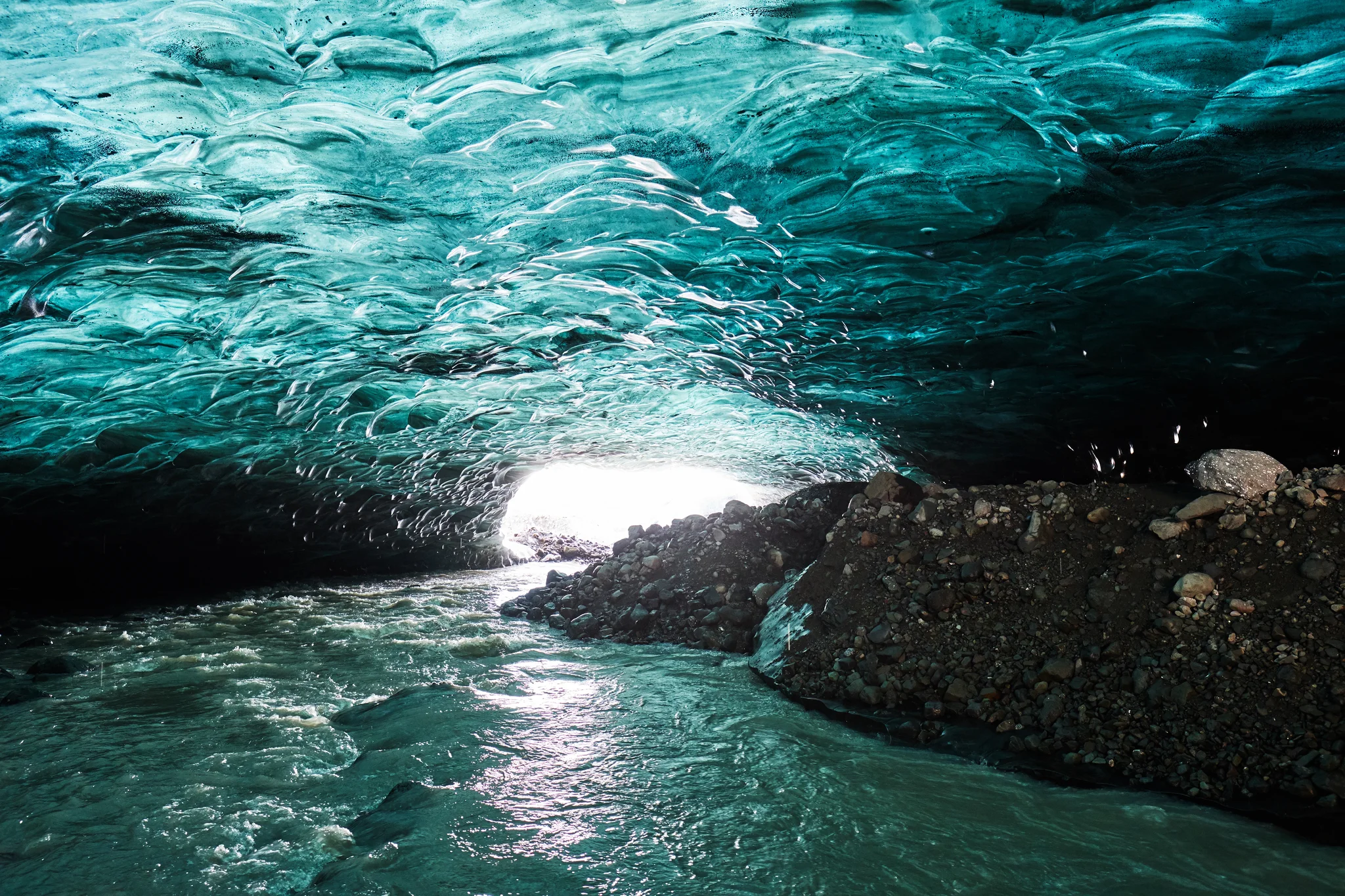 DSCF6313.webp