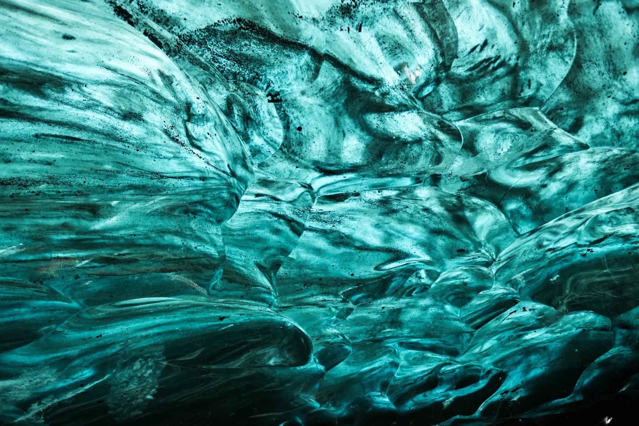 DSCF6318.webp