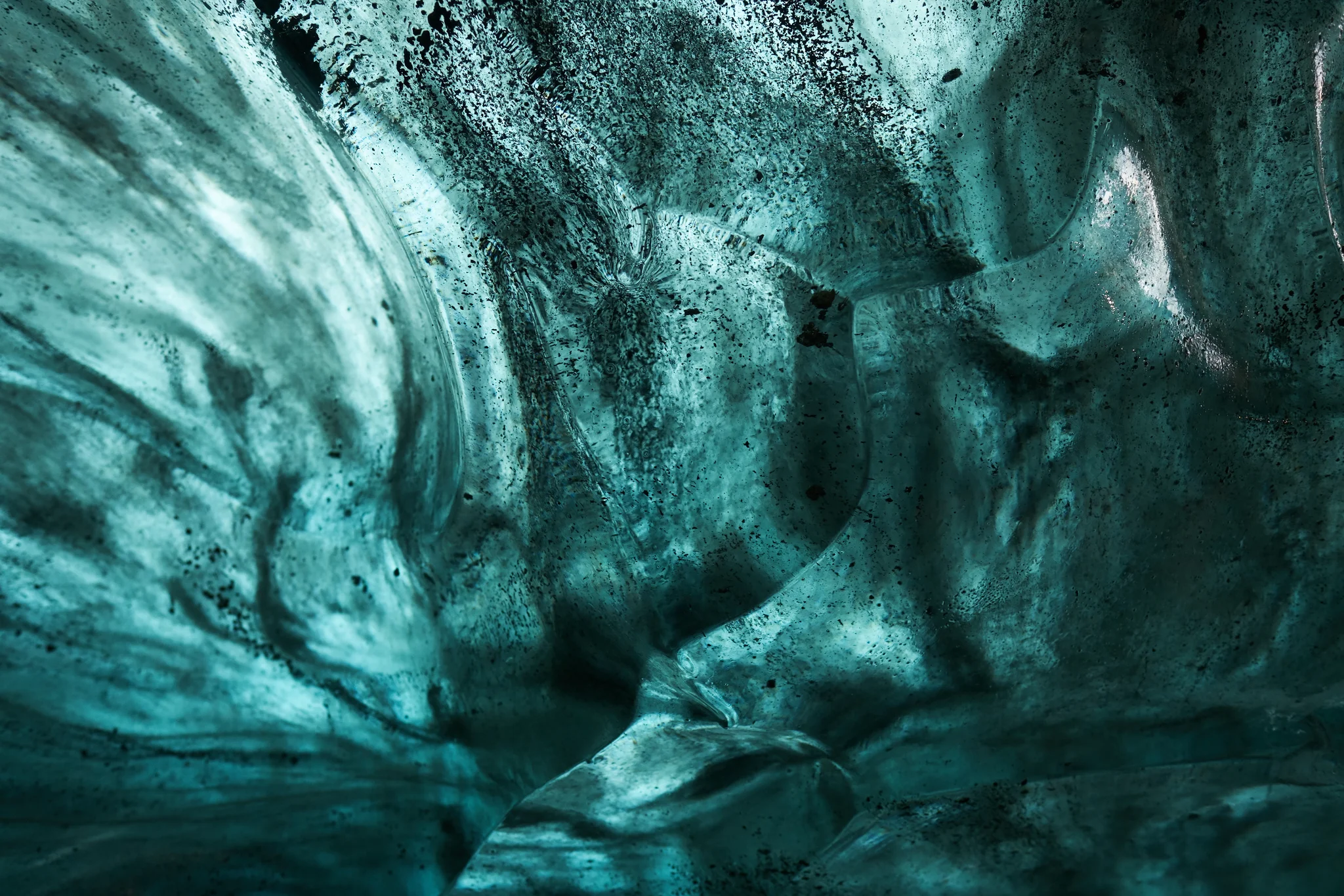 DSCF6323.webp