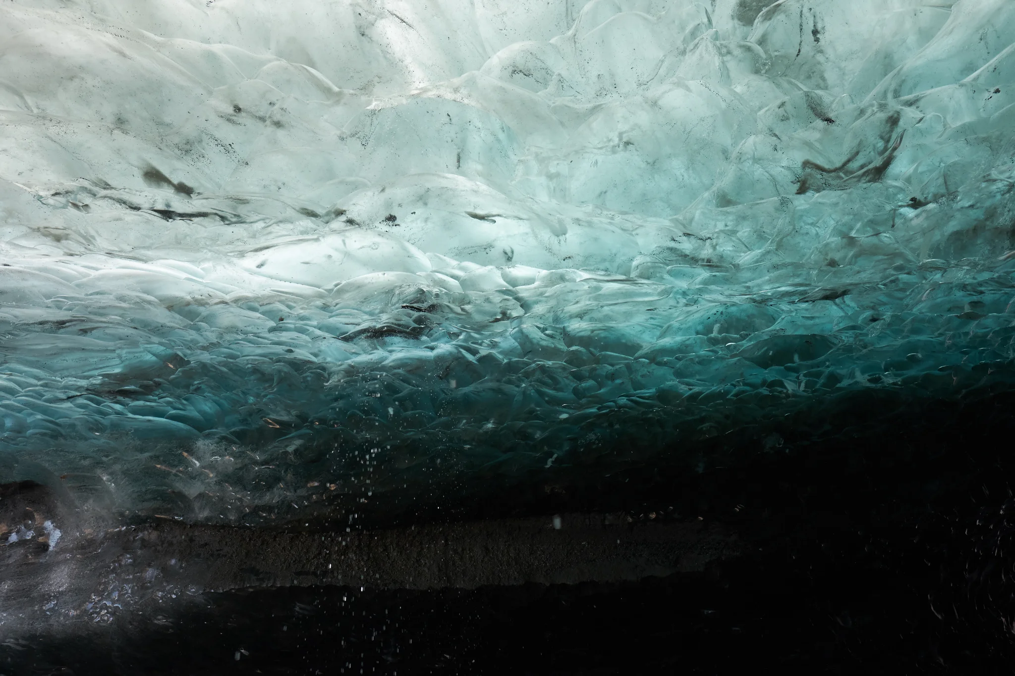 DSCF6331.webp
