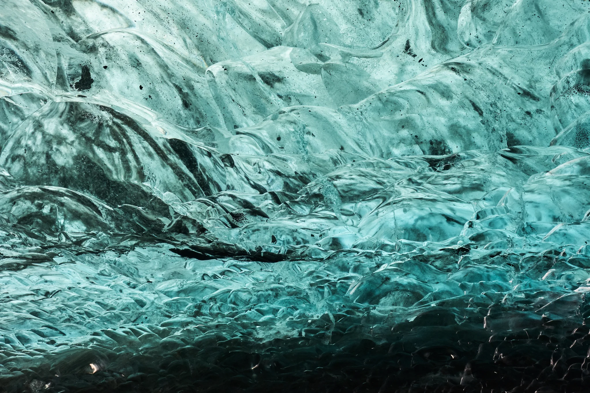 DSCF6332.webp