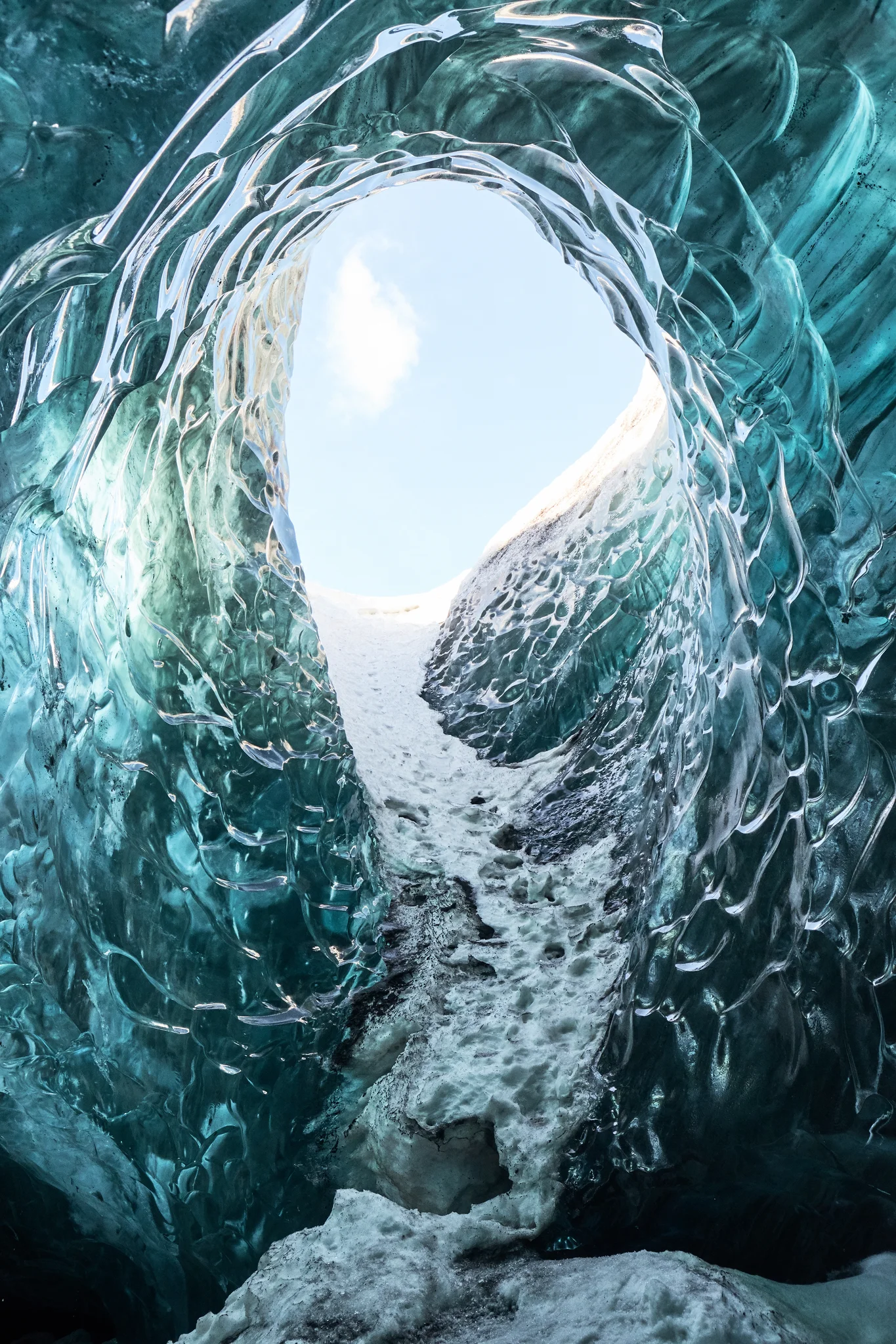 DSCF6338.webp