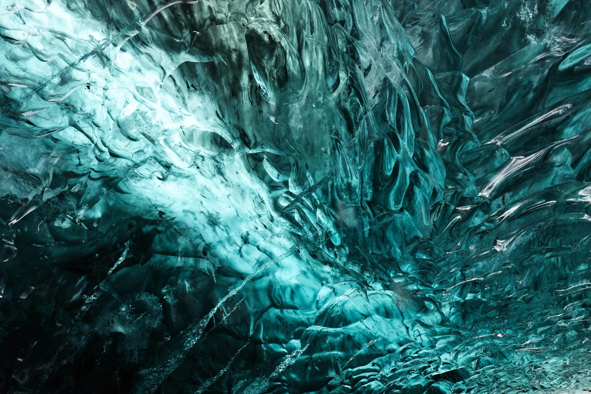 DSCF6350.webp