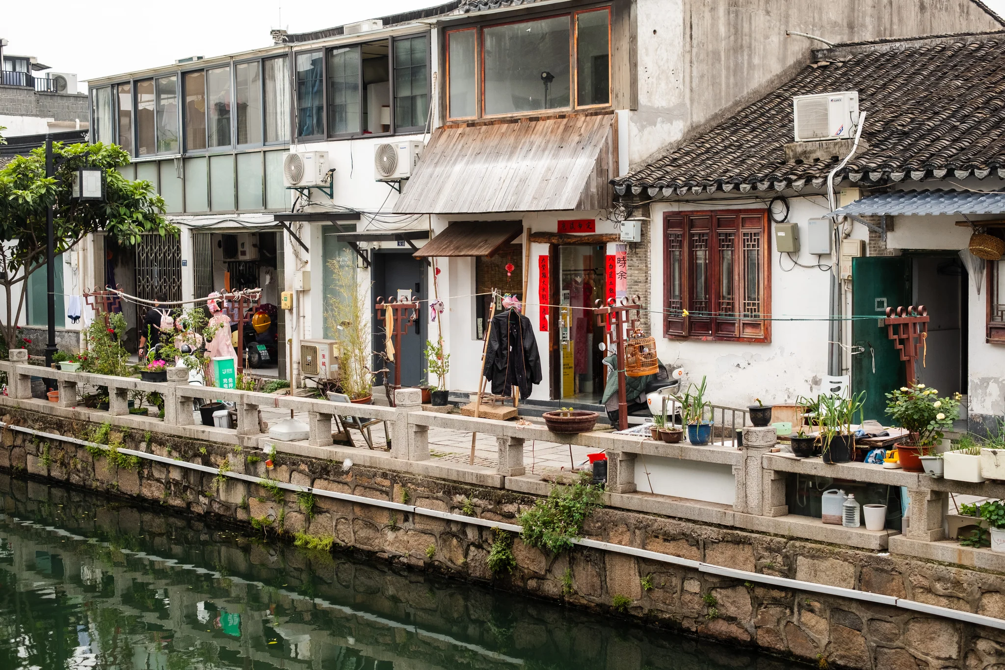 DSCF6822.webp