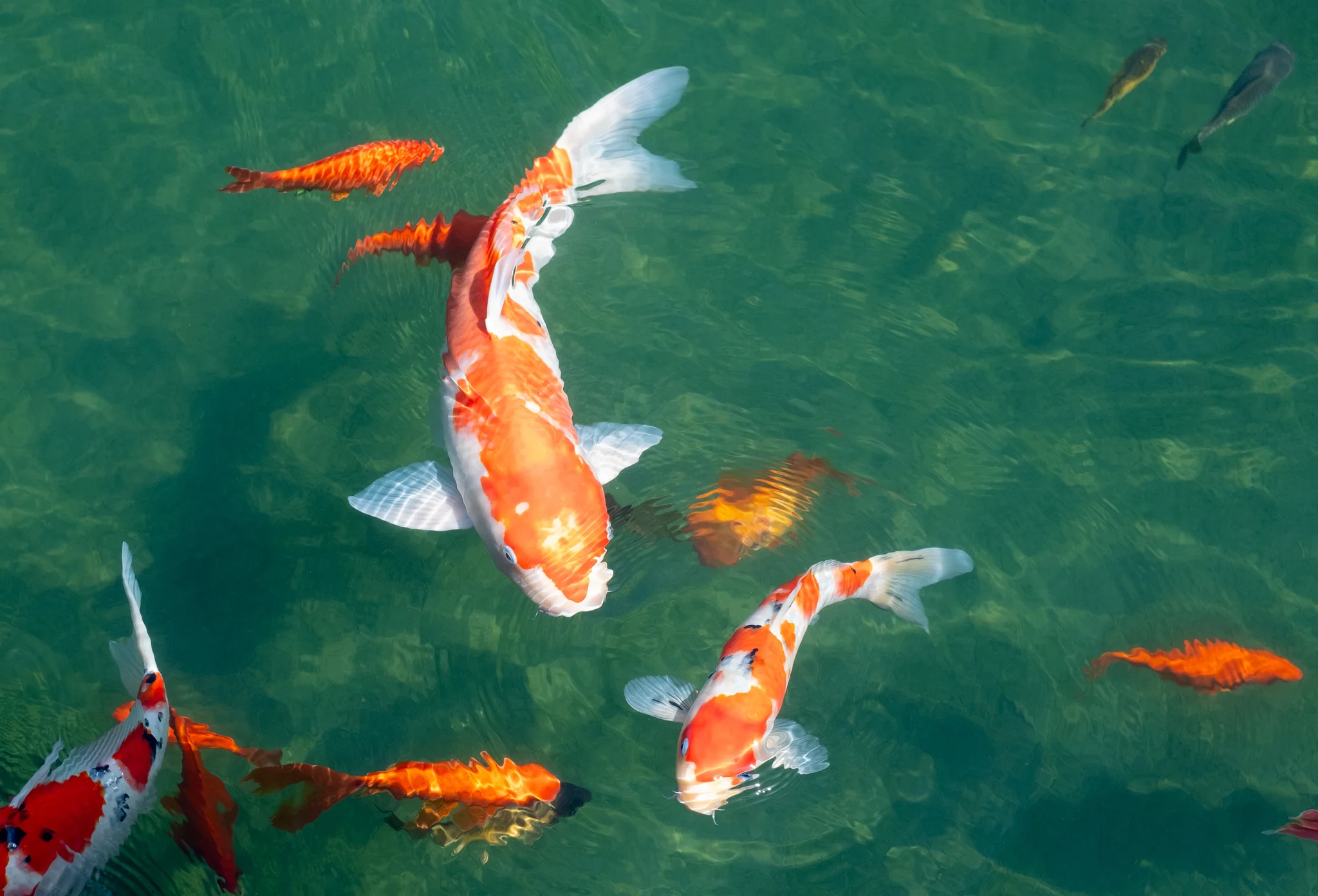 DSCF6857.webp