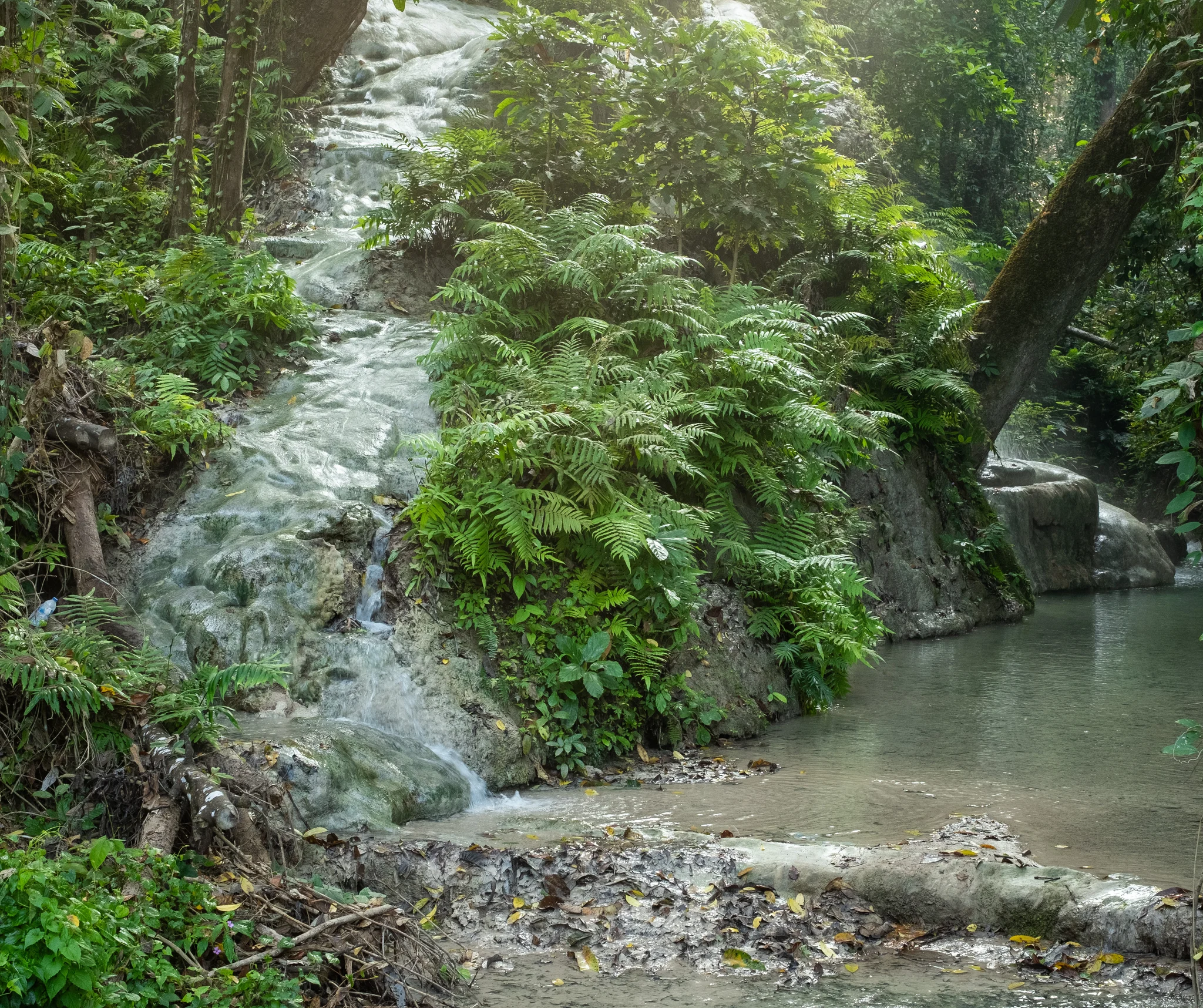 DSCF7175.webp