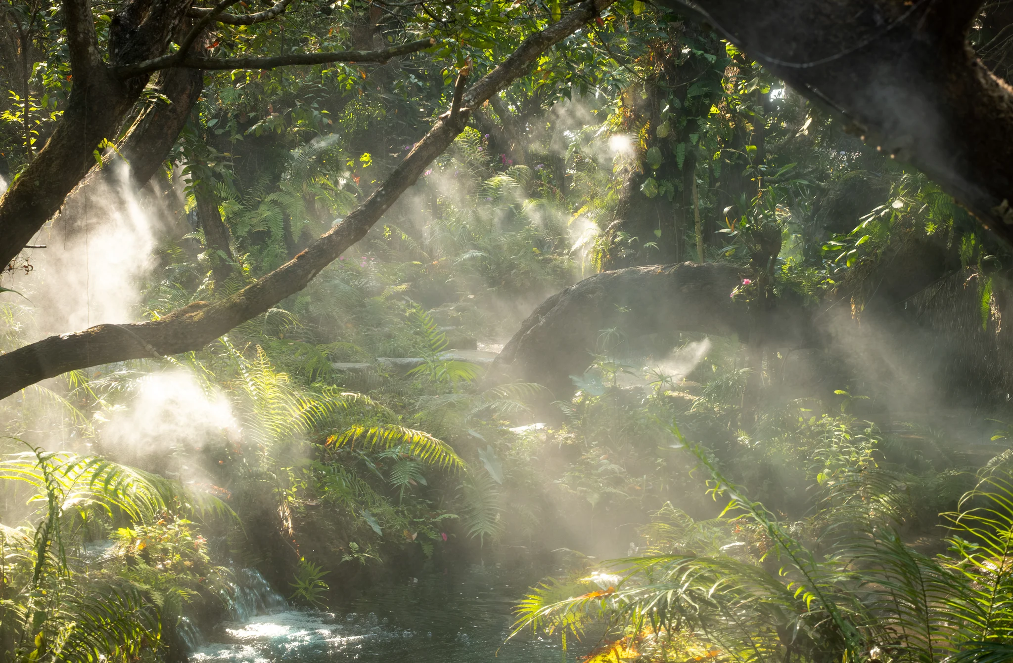 DSCF7184.webp