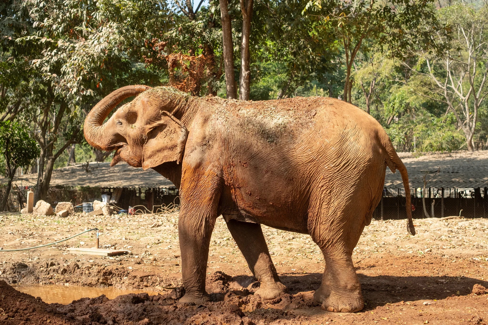 DSCF7339.webp
