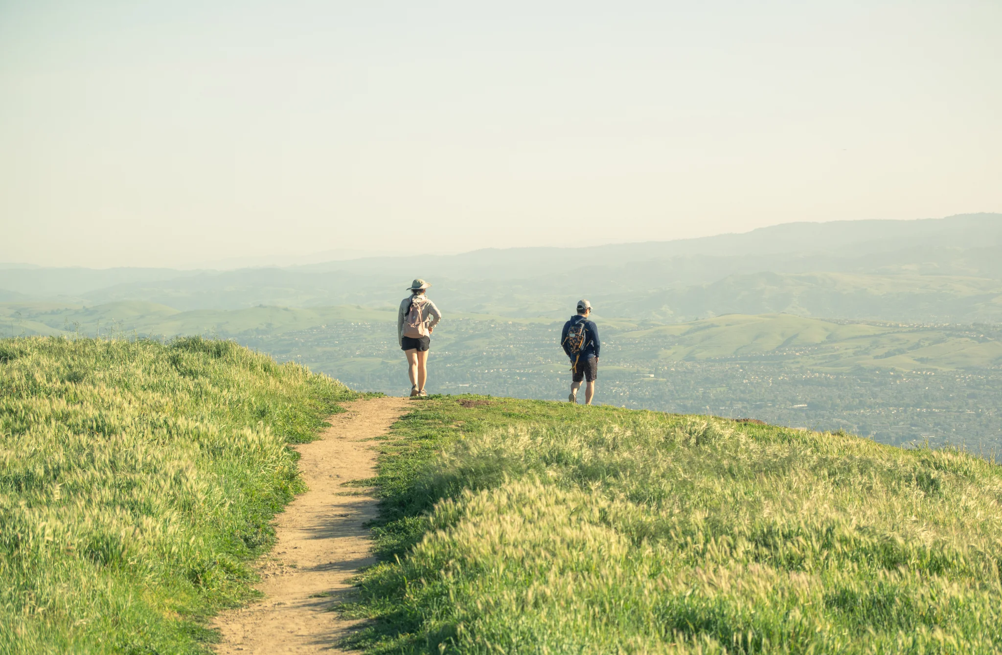 DSCF6339.webp