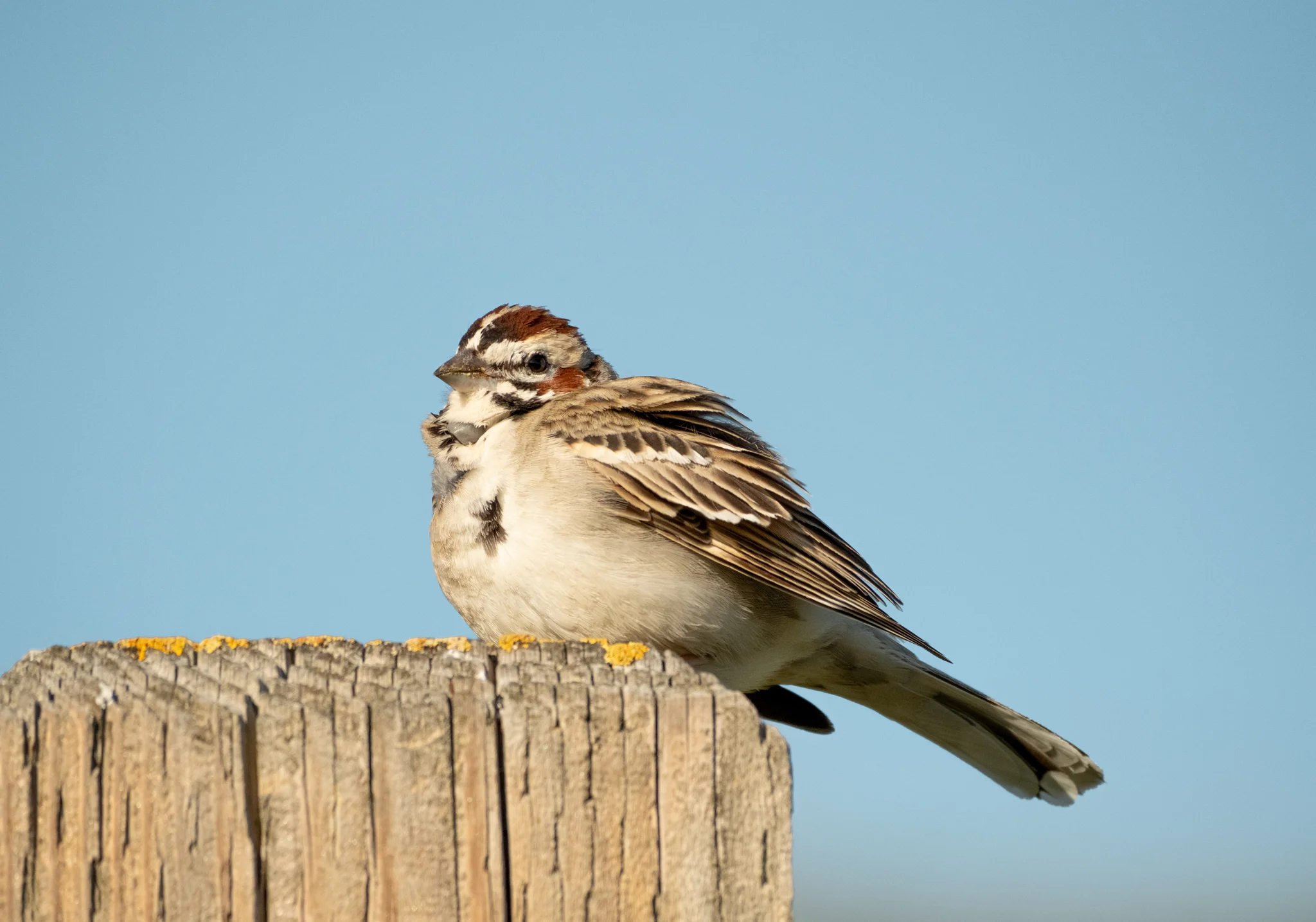 DSCF6388.webp