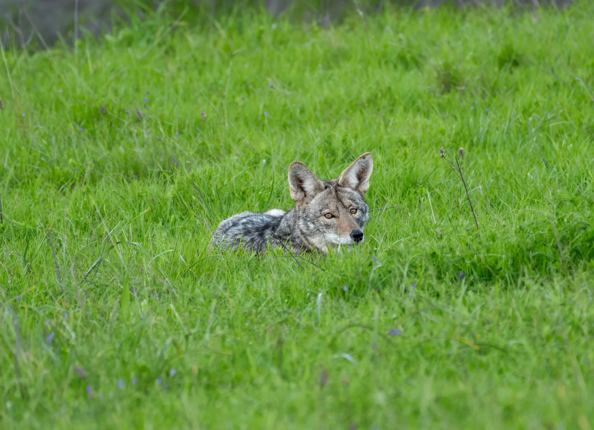 DSCF6410.webp
