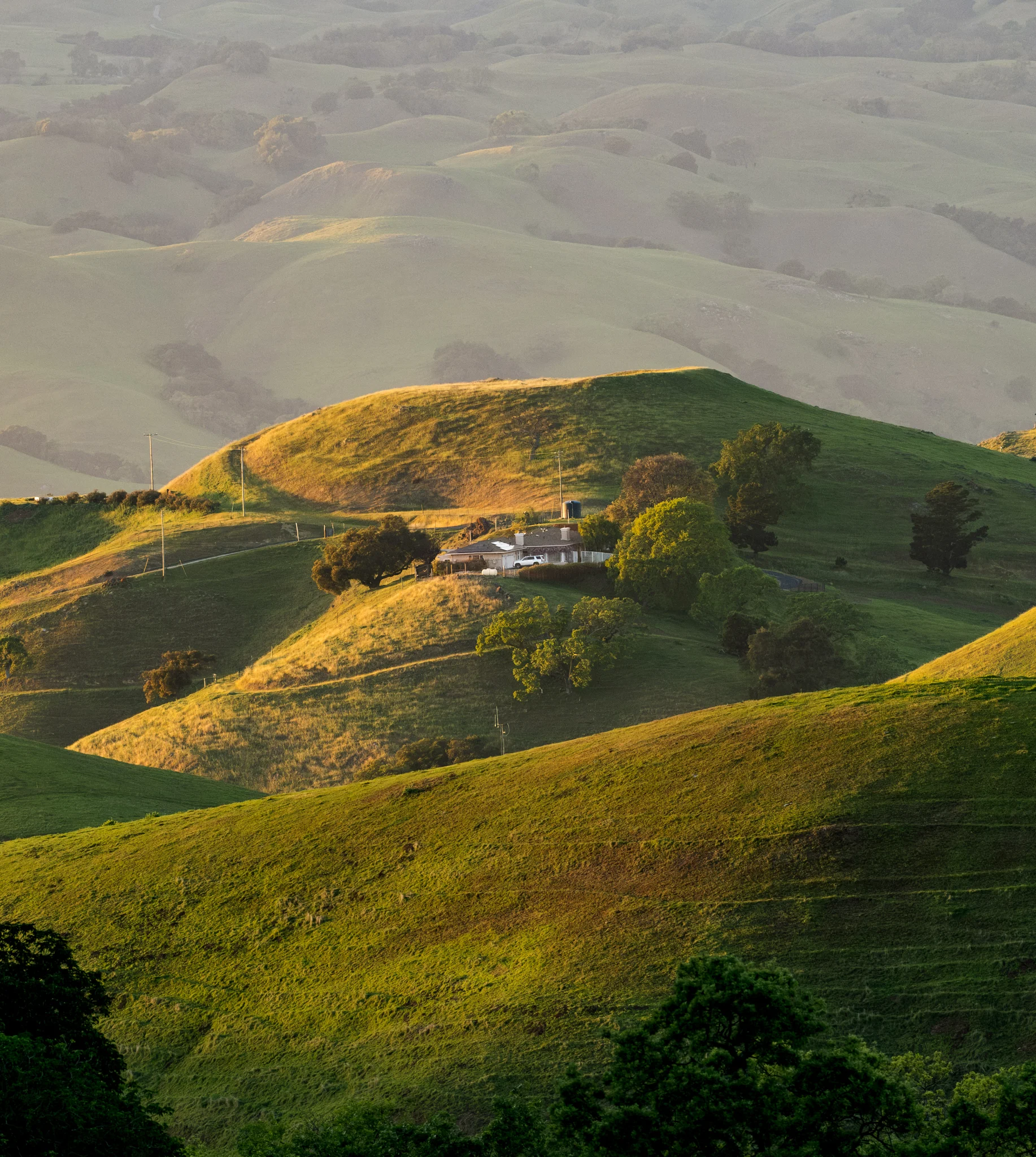 DSCF6428.webp