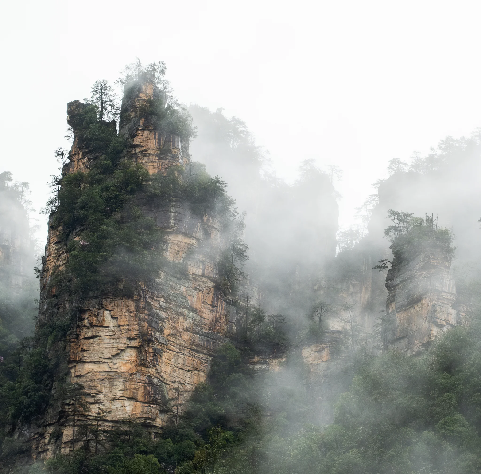 20260331ZhangJiaJieChina