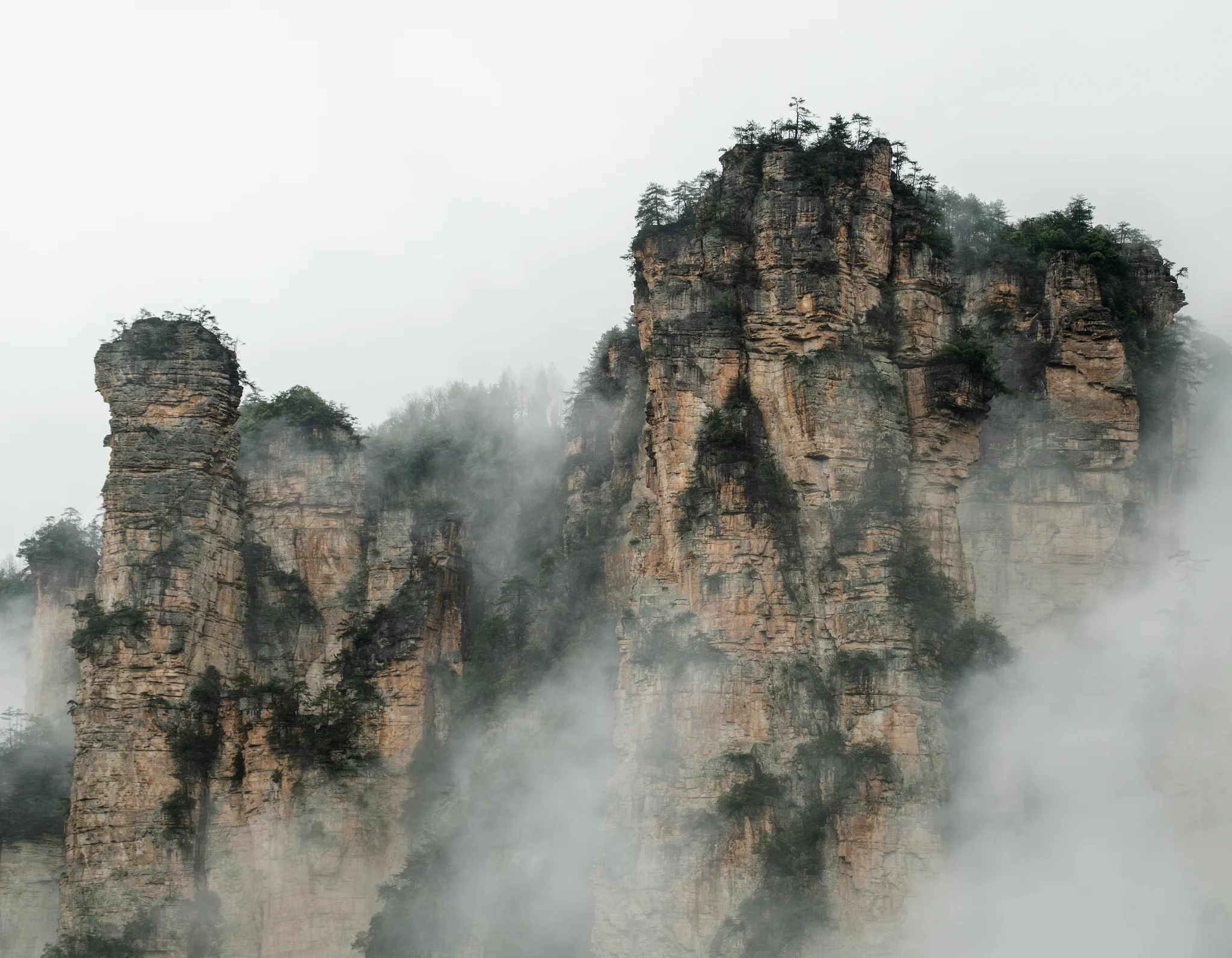 DSCF6857.webp