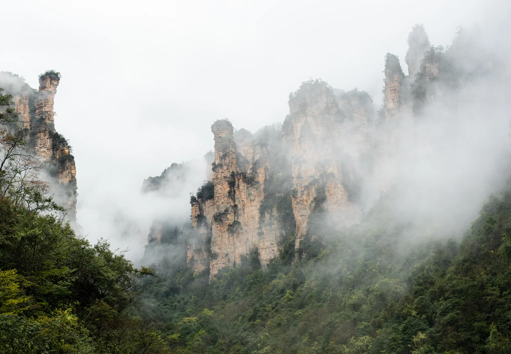 DSCF6861.webp