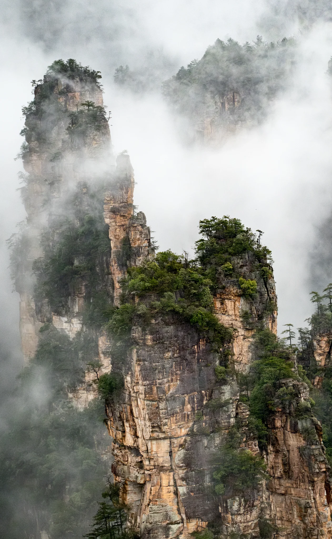 DSCF6870.webp