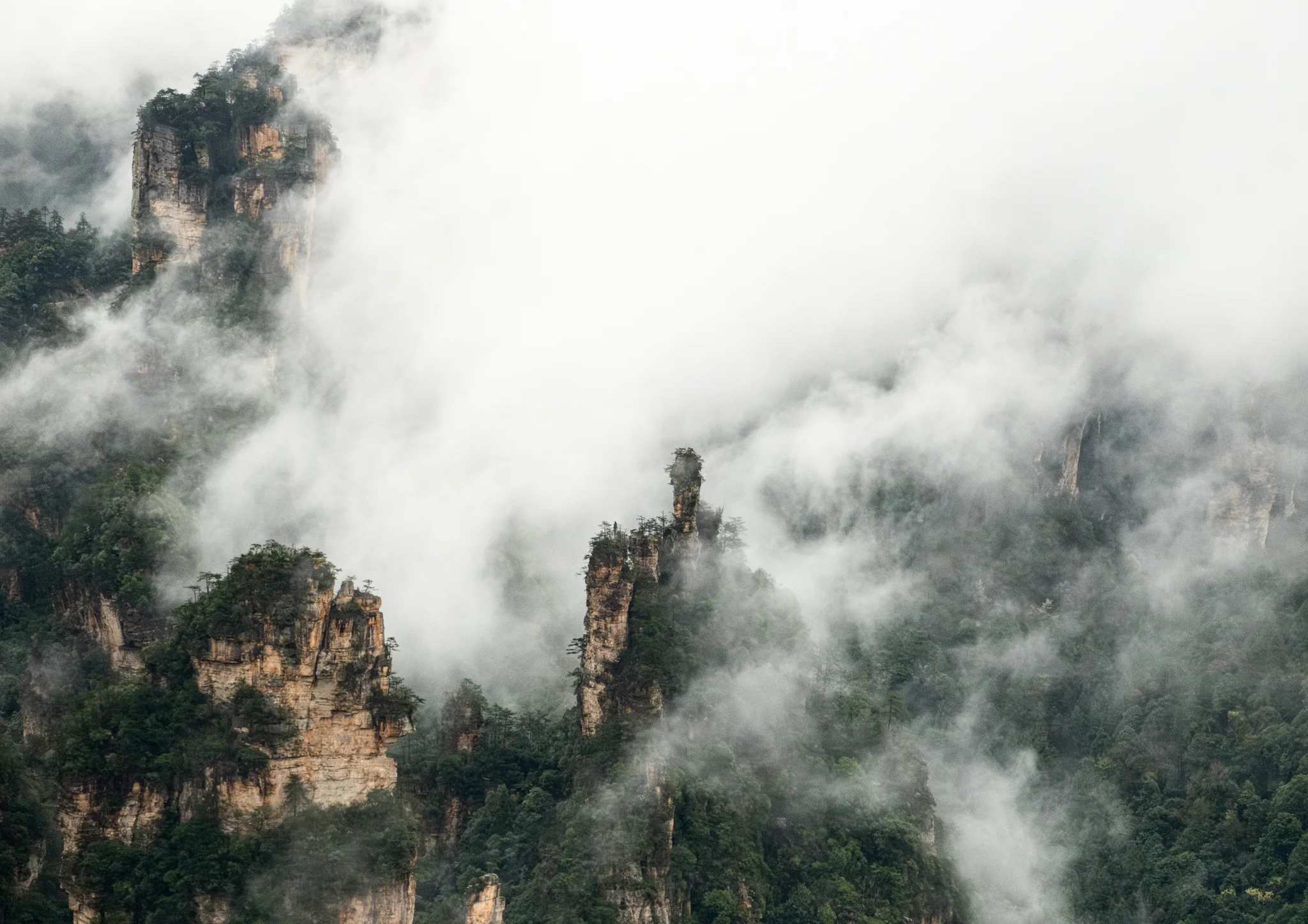 DSCF6872.webp