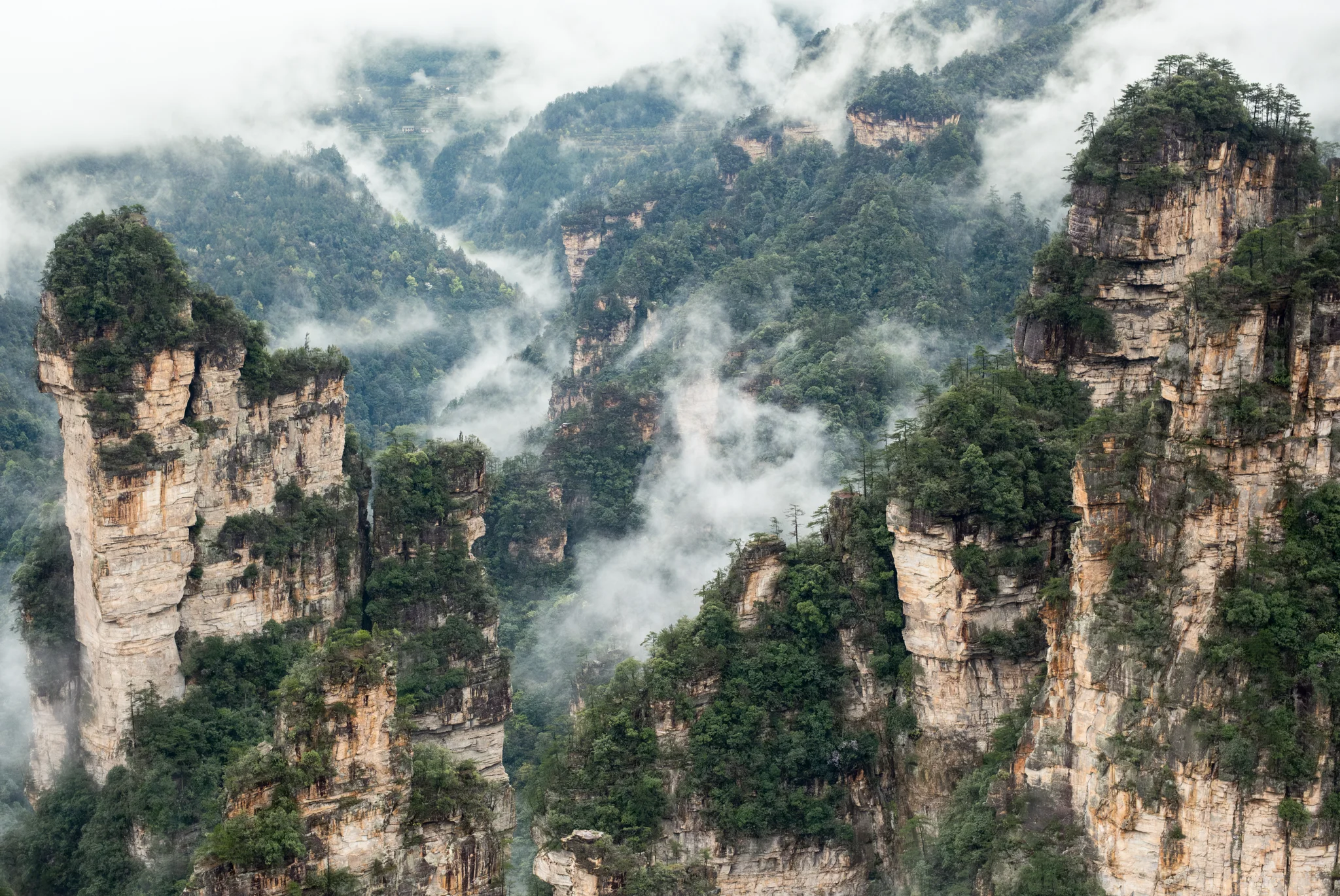 DSCF6879.webp