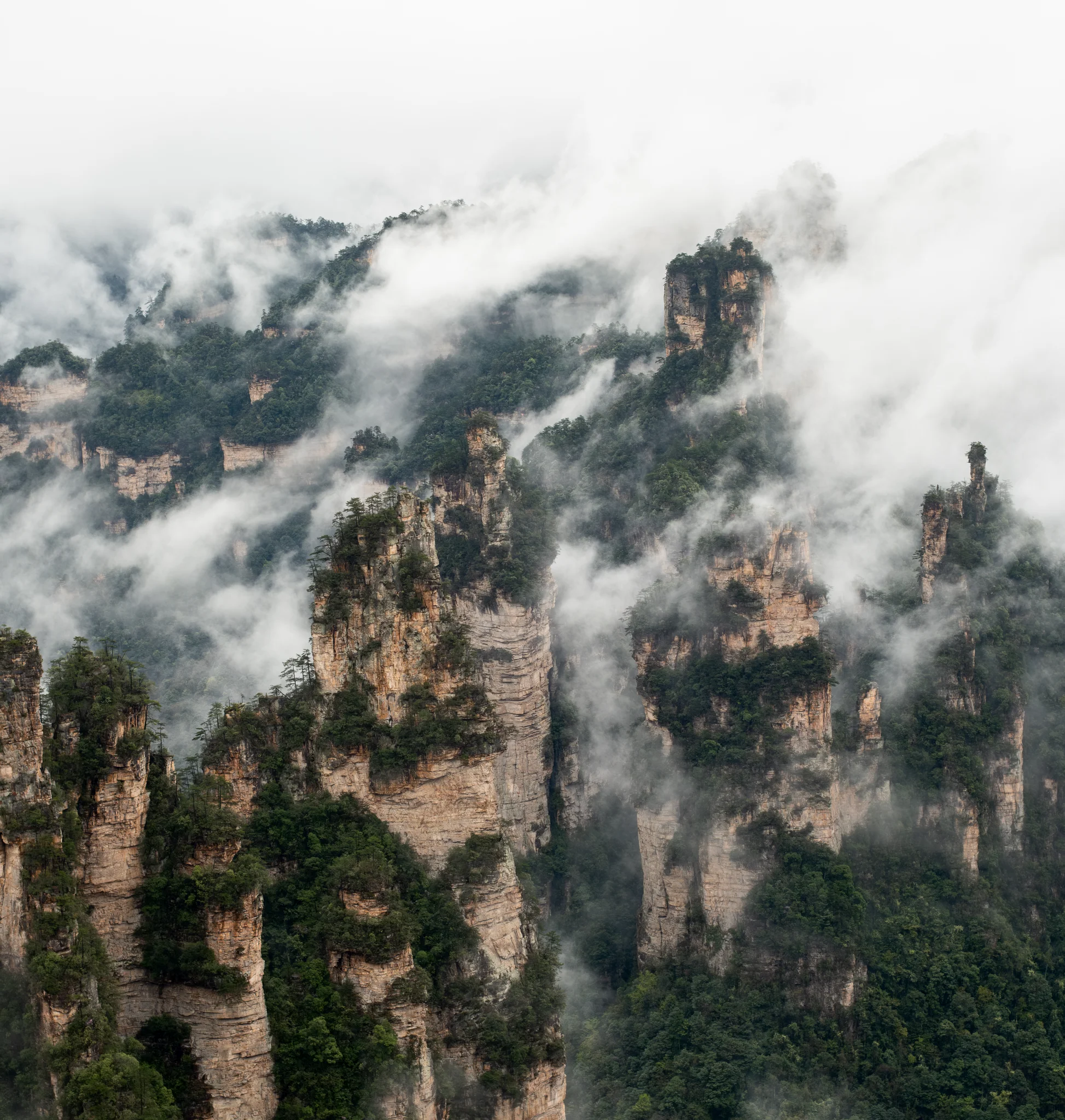 DSCF6884.webp