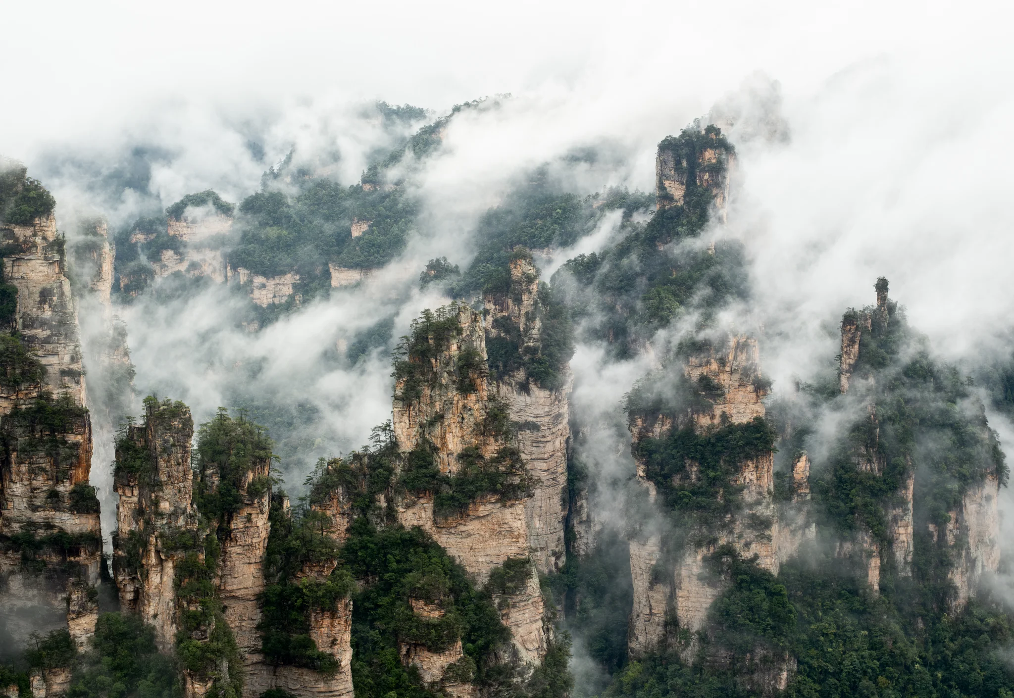 DSCF6885.webp