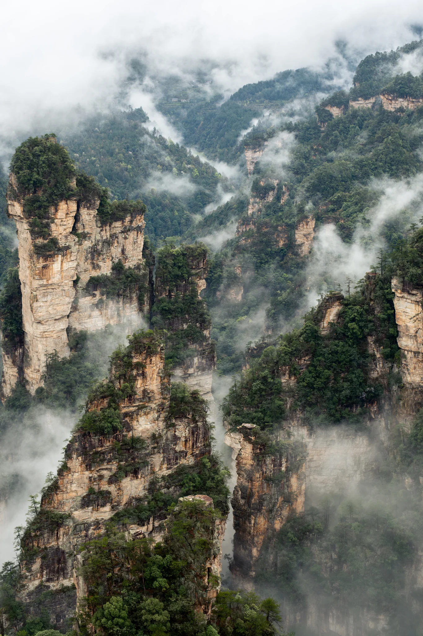DSCF6886.webp