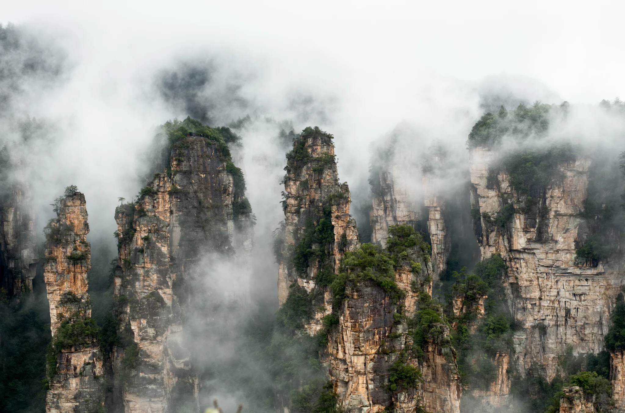DSCF6887.webp