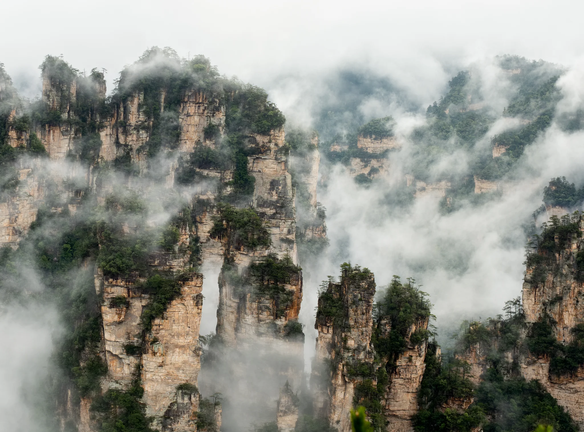DSCF6890.webp