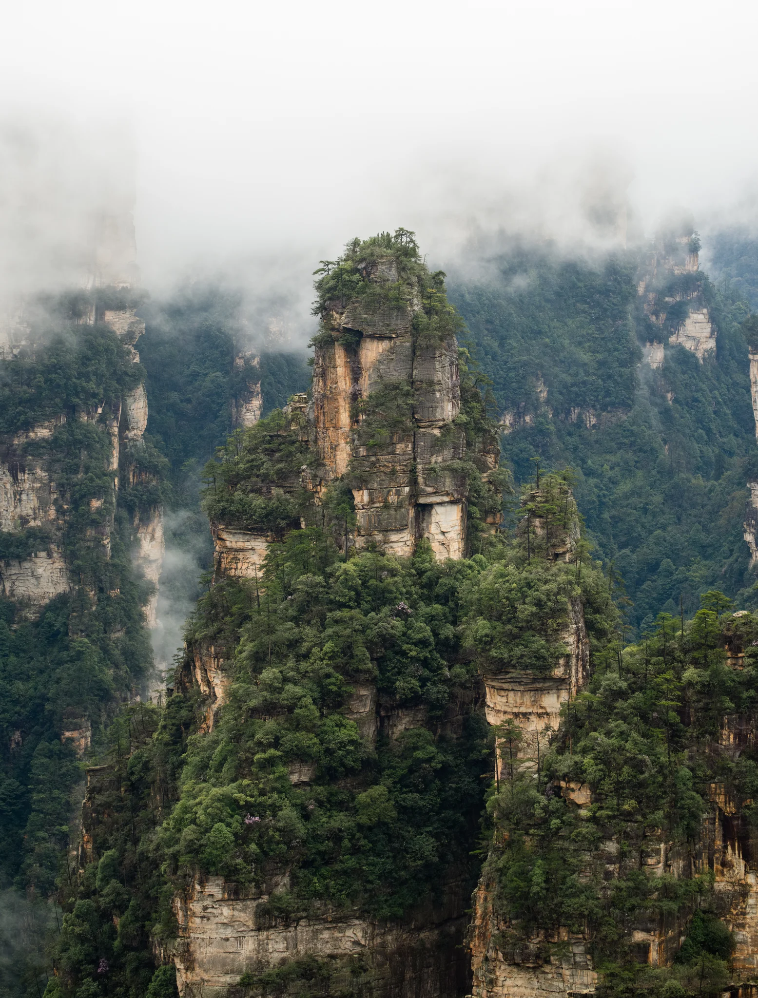 DSCF6912.webp