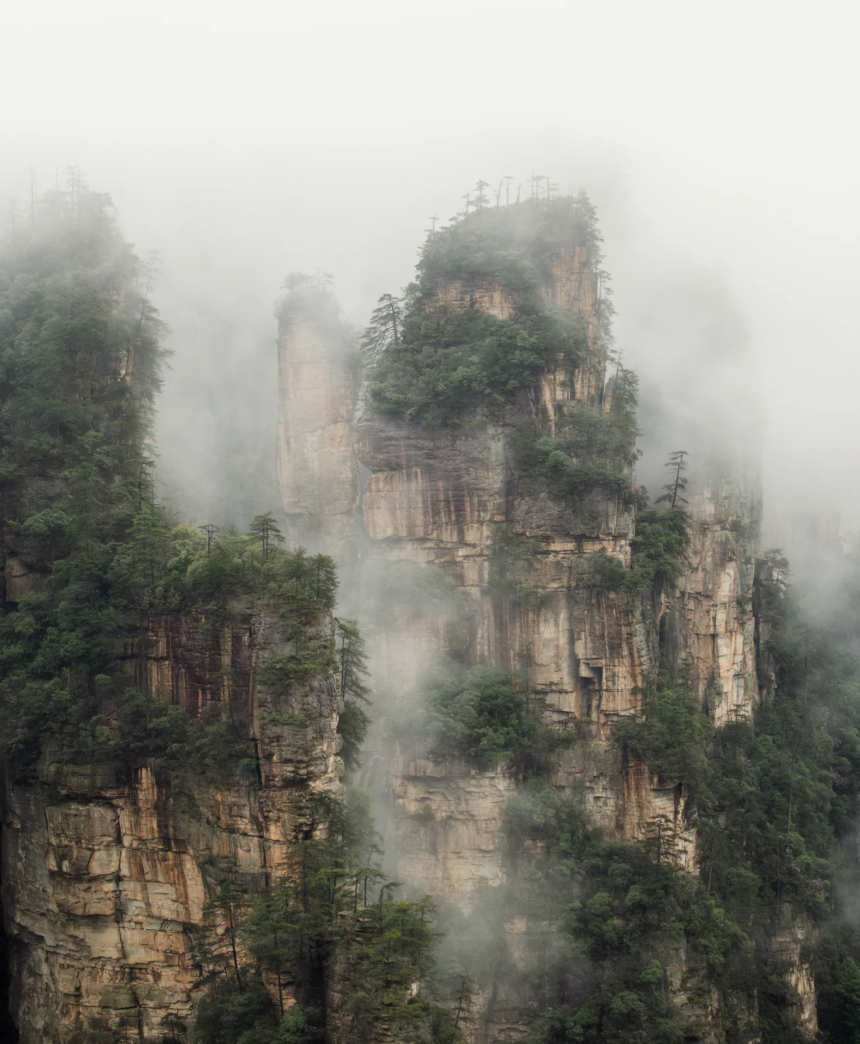 DSCF6916.webp