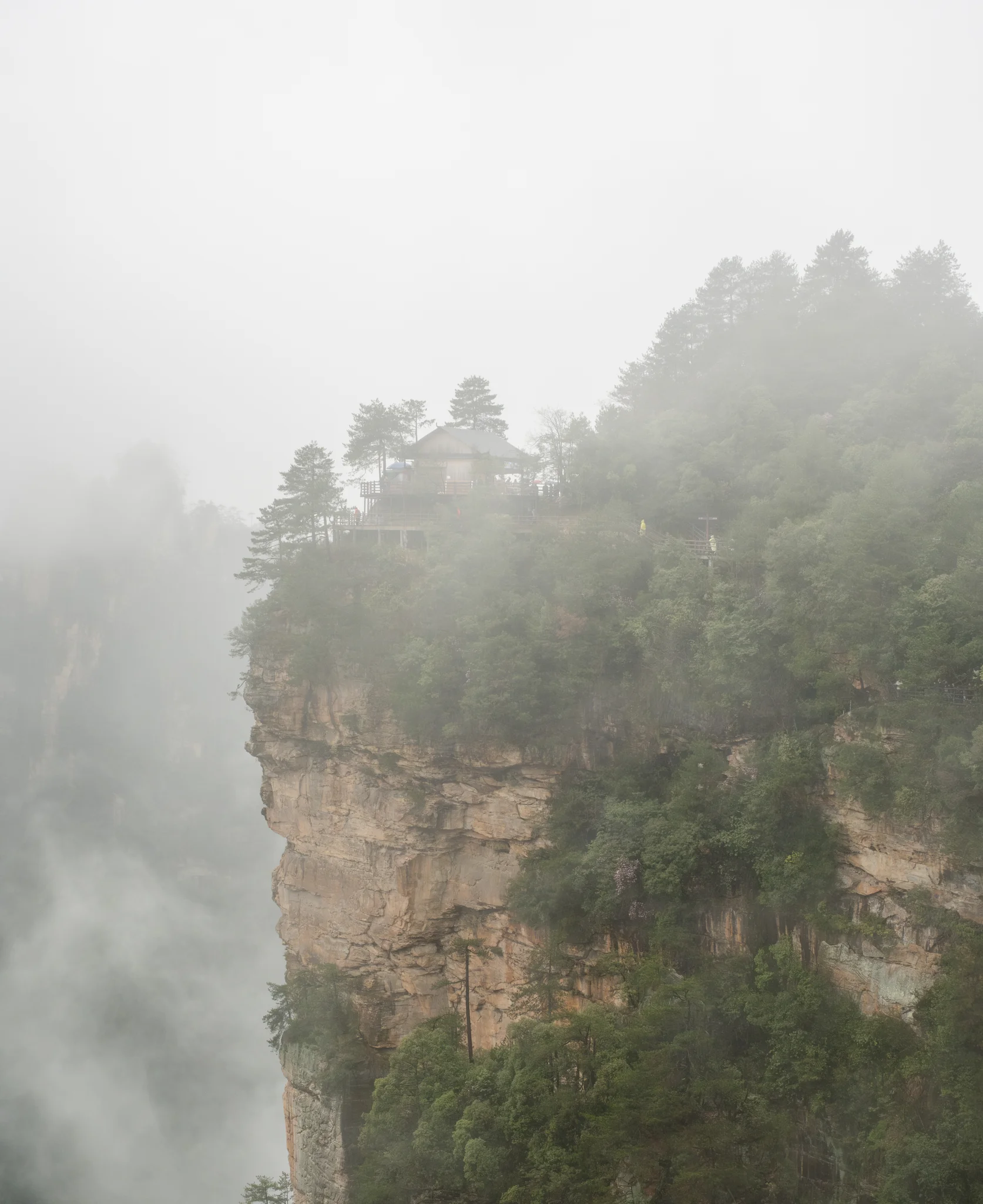 DSCF6985.webp
