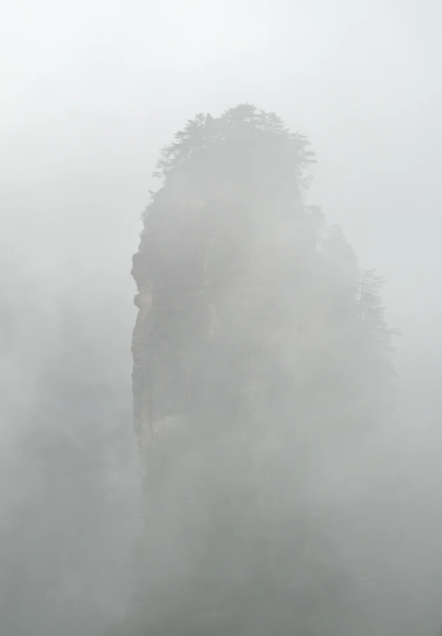 DSCF7002.webp