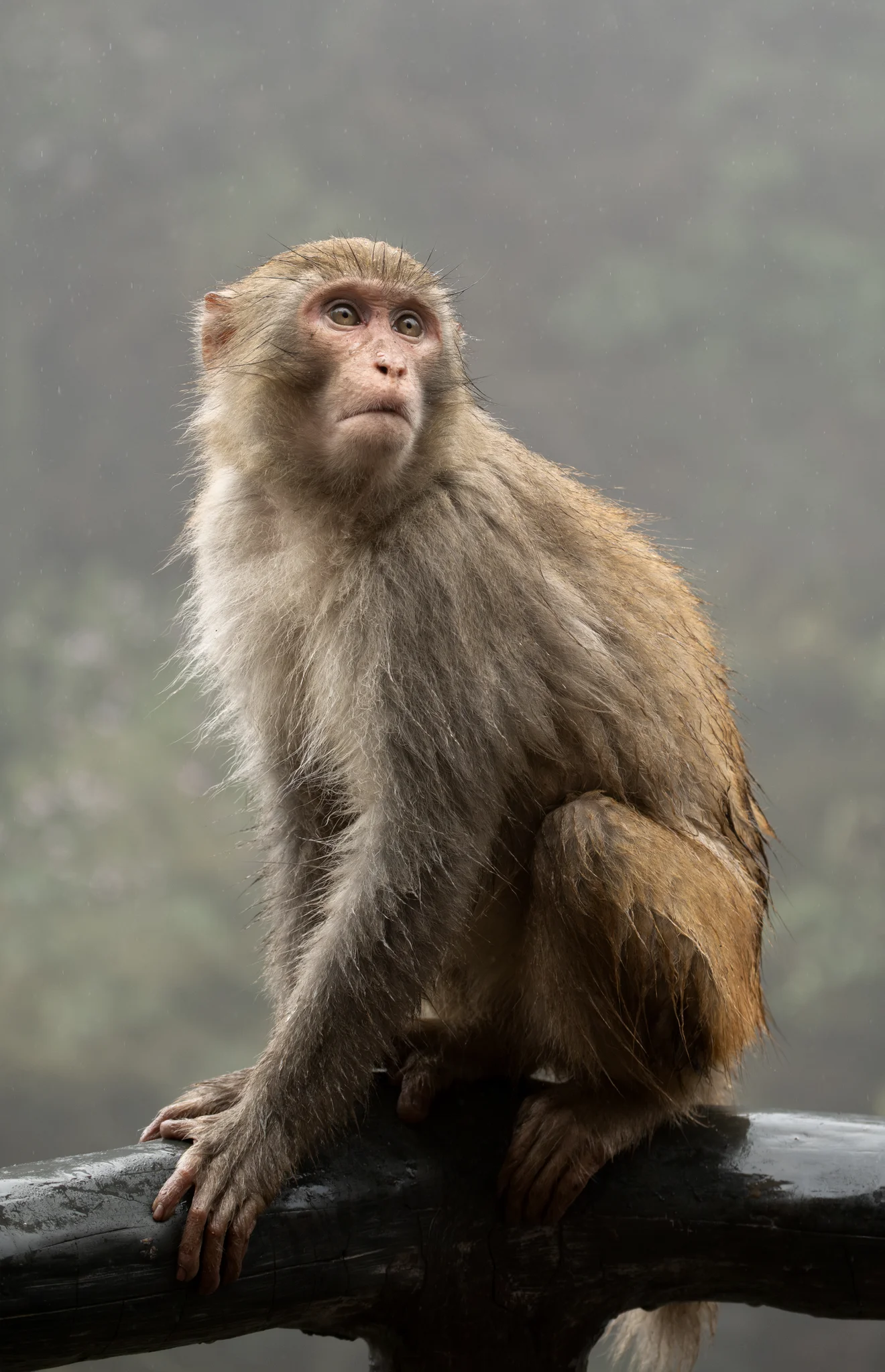 DSCF7028.webp