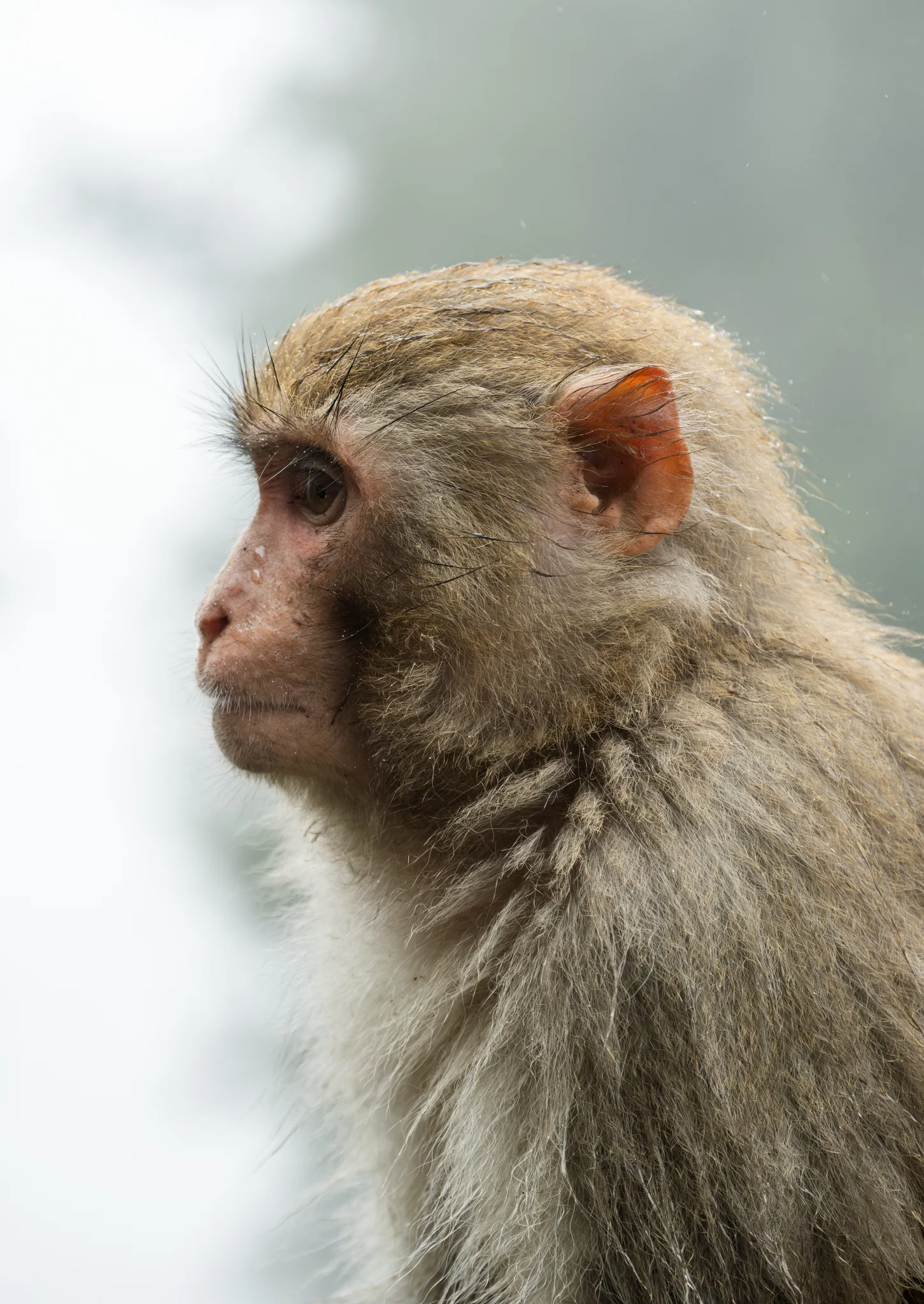 DSCF7031.webp