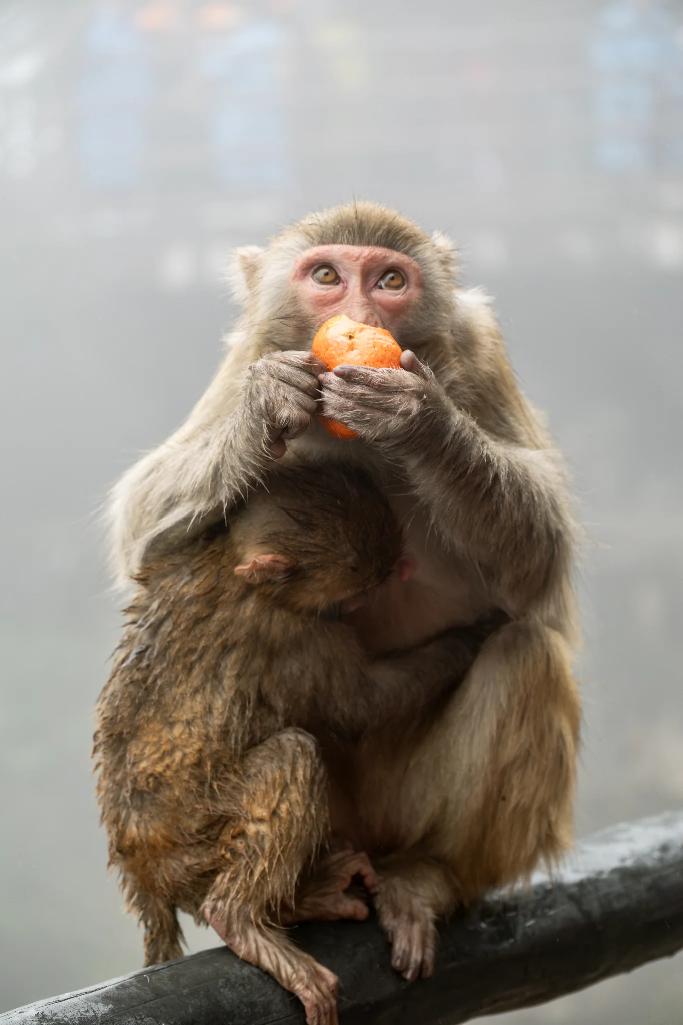 DSCF7044.webp