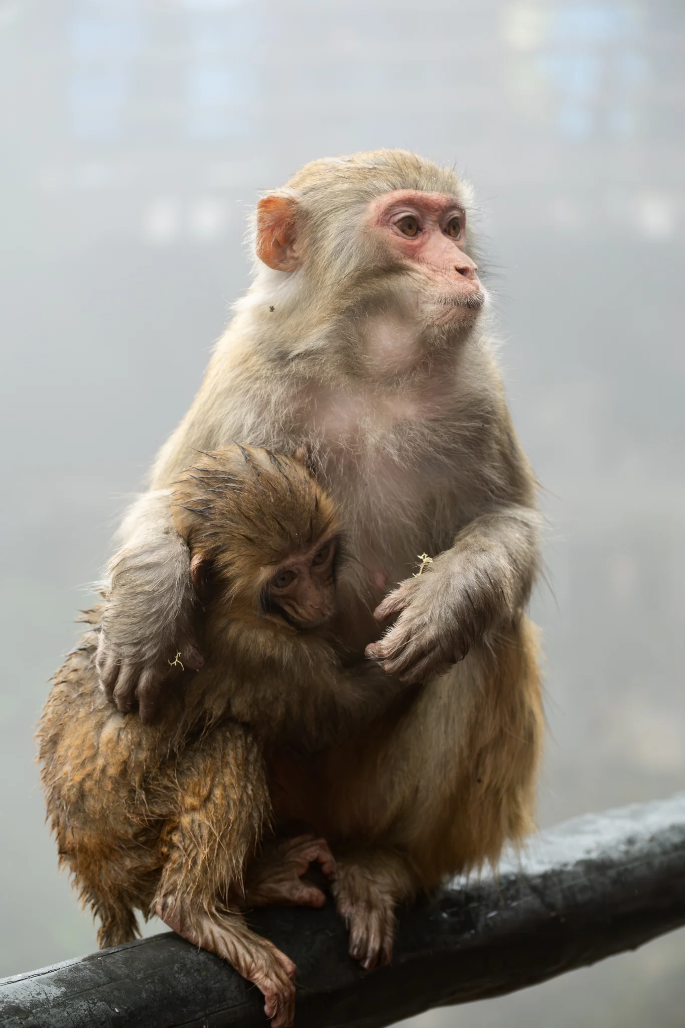 DSCF7047.webp