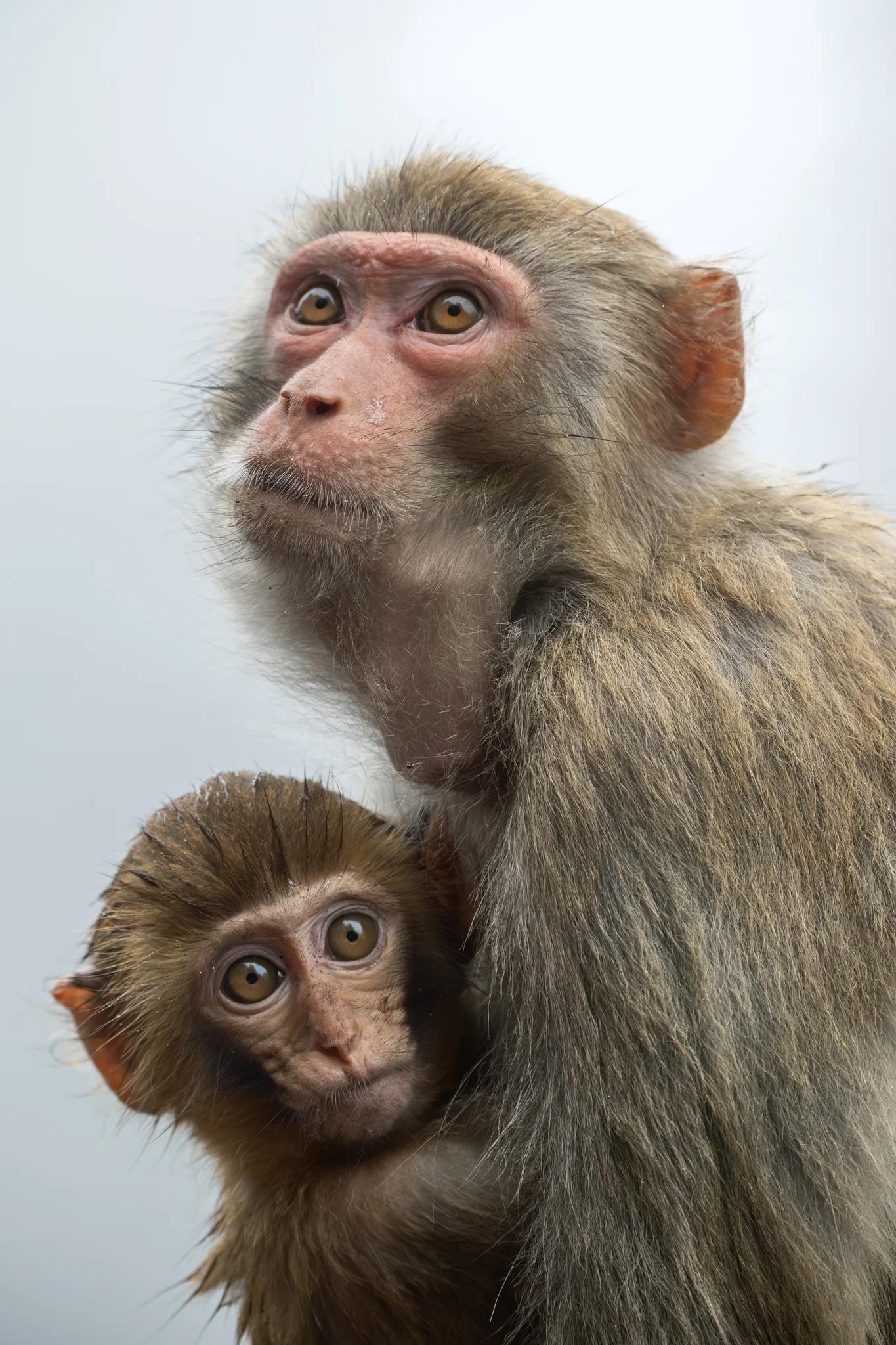 DSCF7052.webp