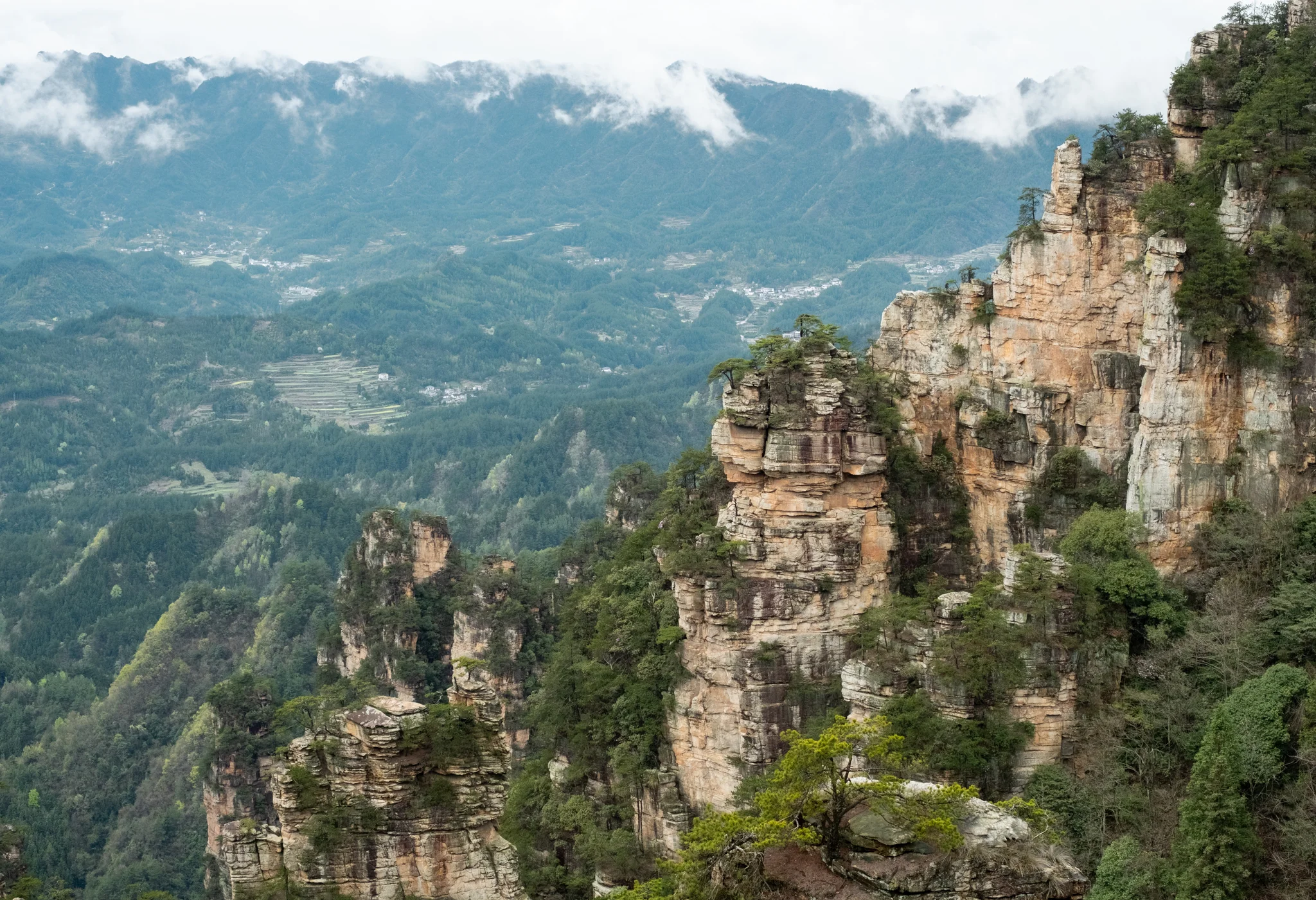 DSCF7061.webp