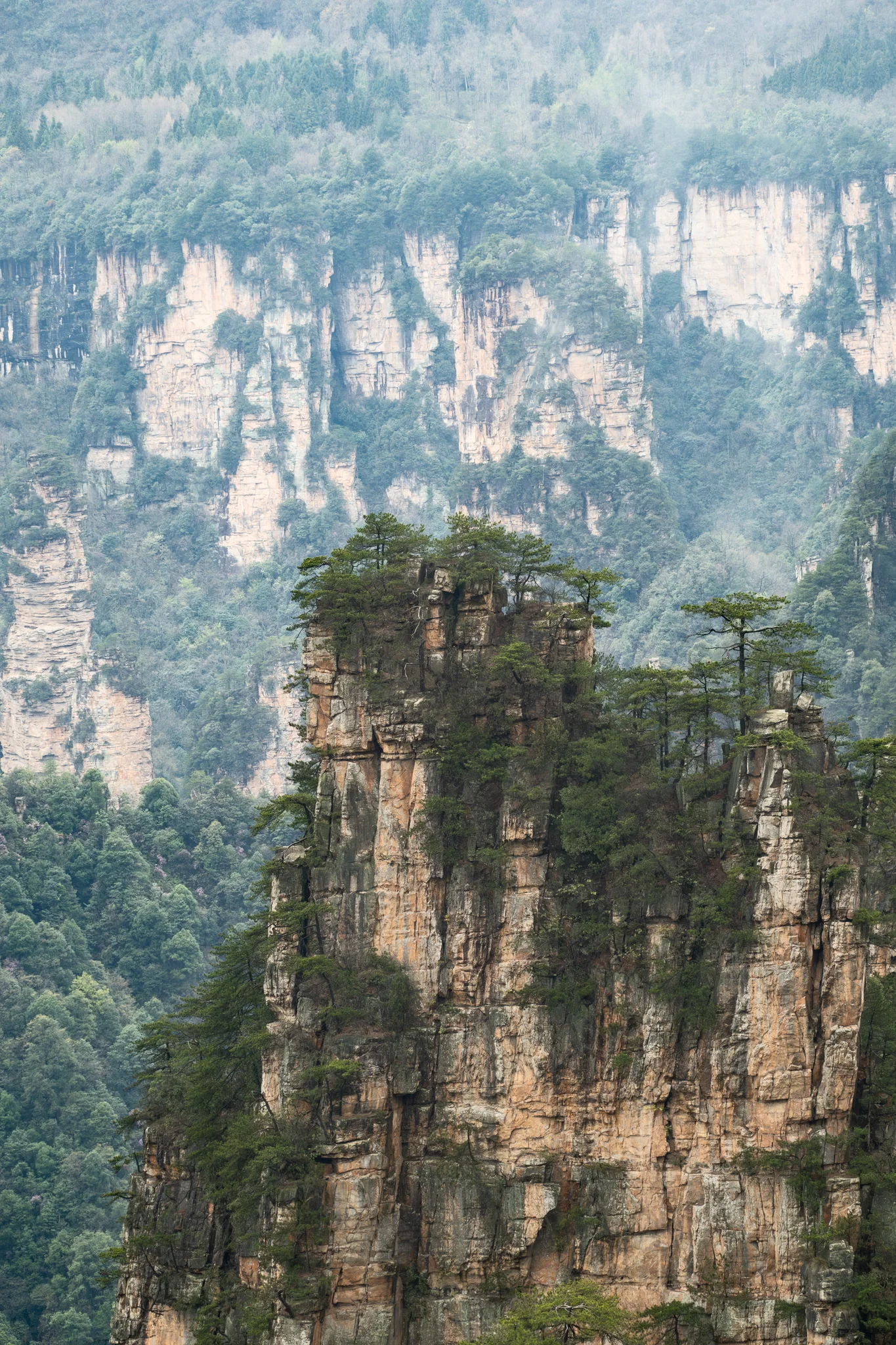 DSCF7079.webp