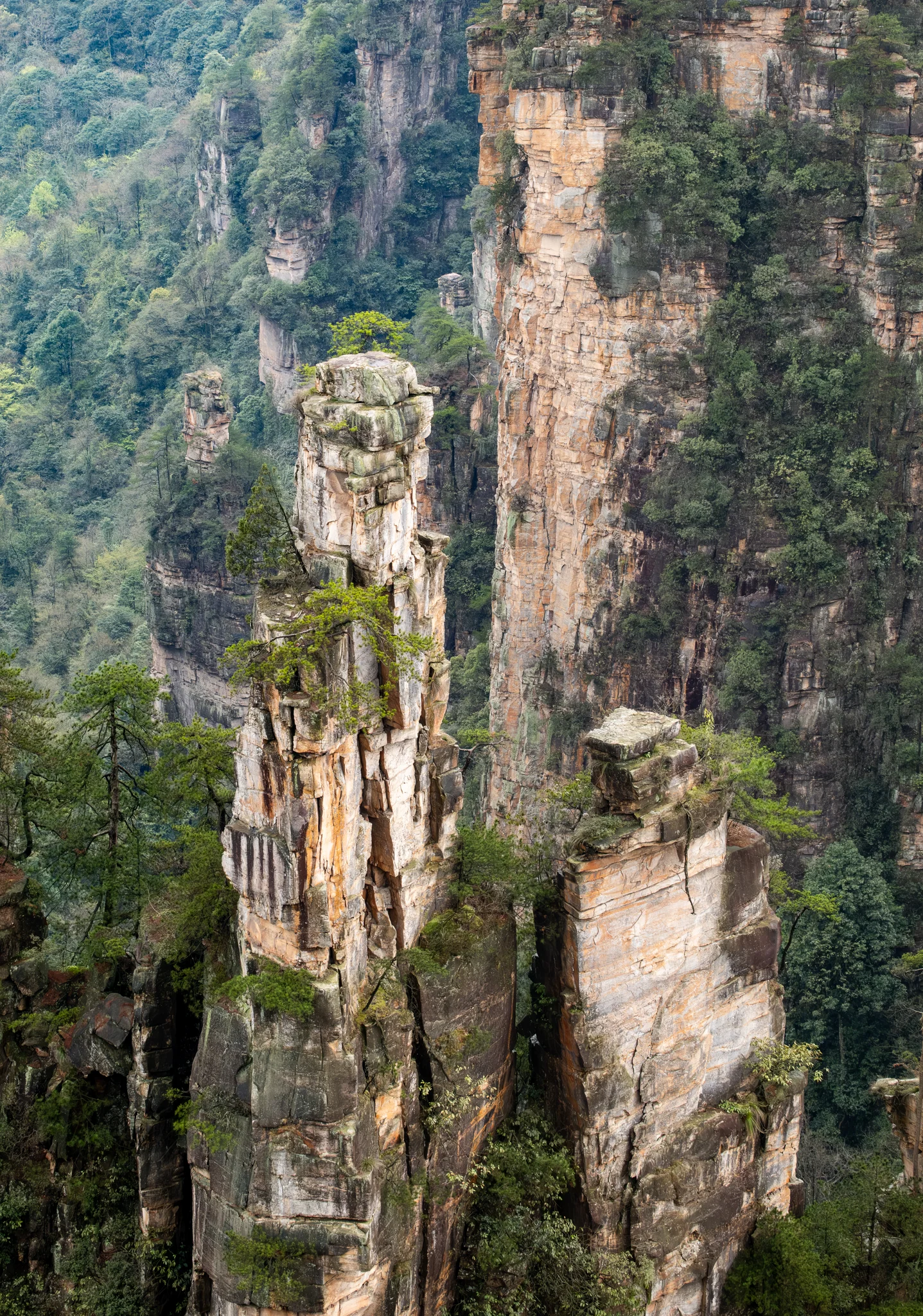 DSCF7086.webp