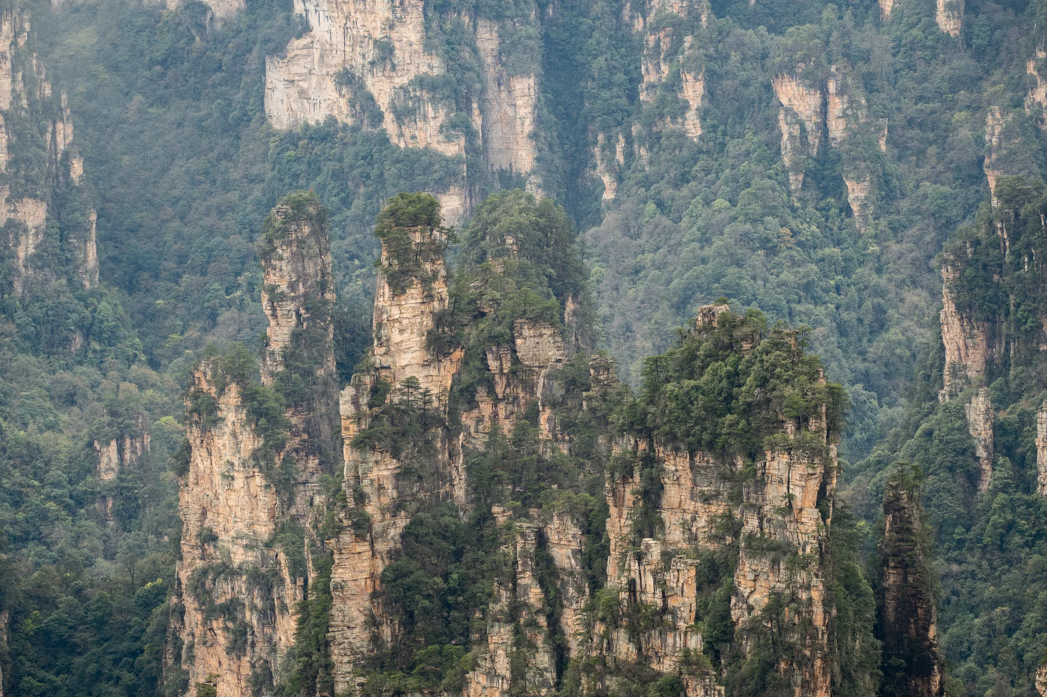 DSCF7093.webp