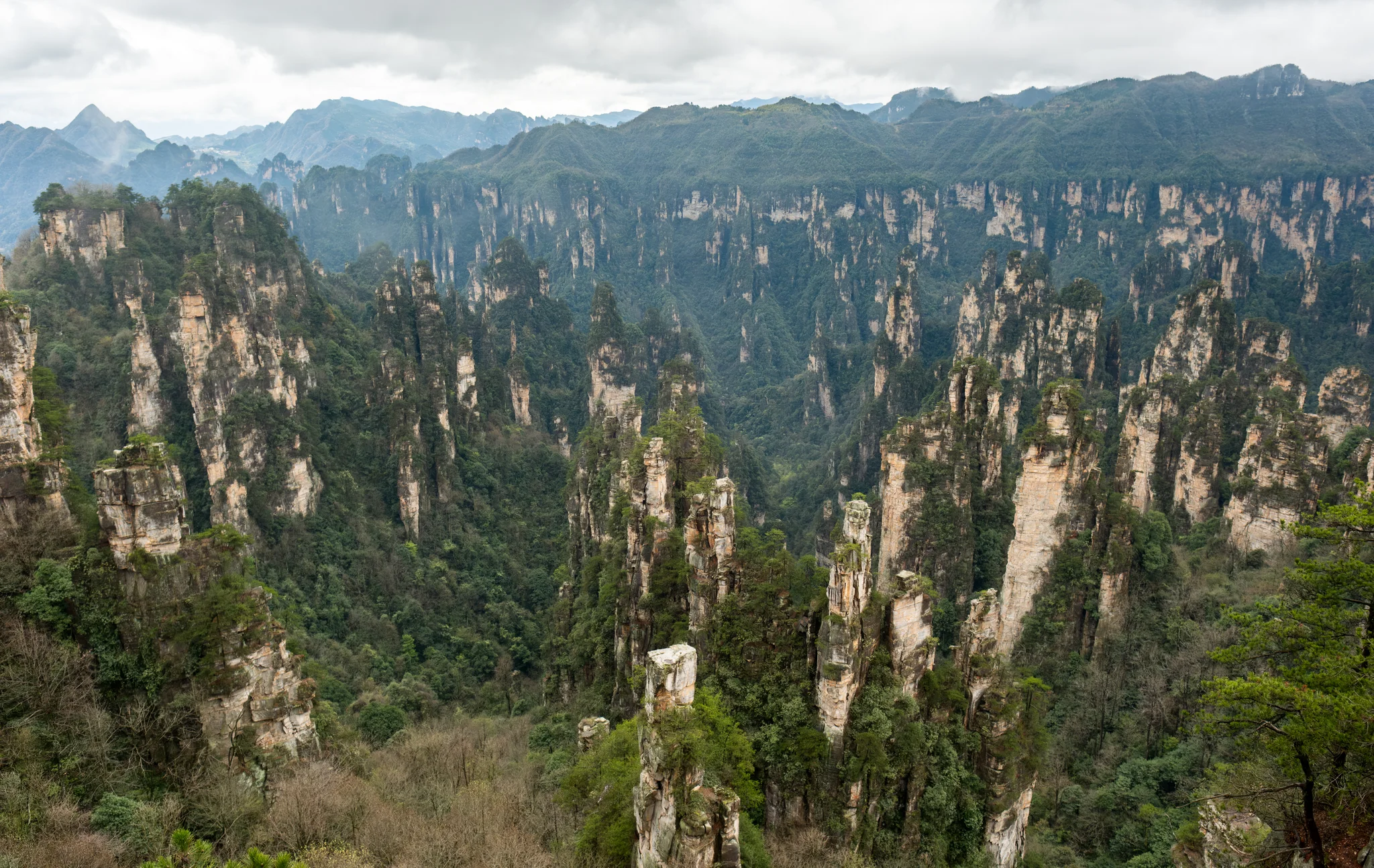 DSCF7106.webp