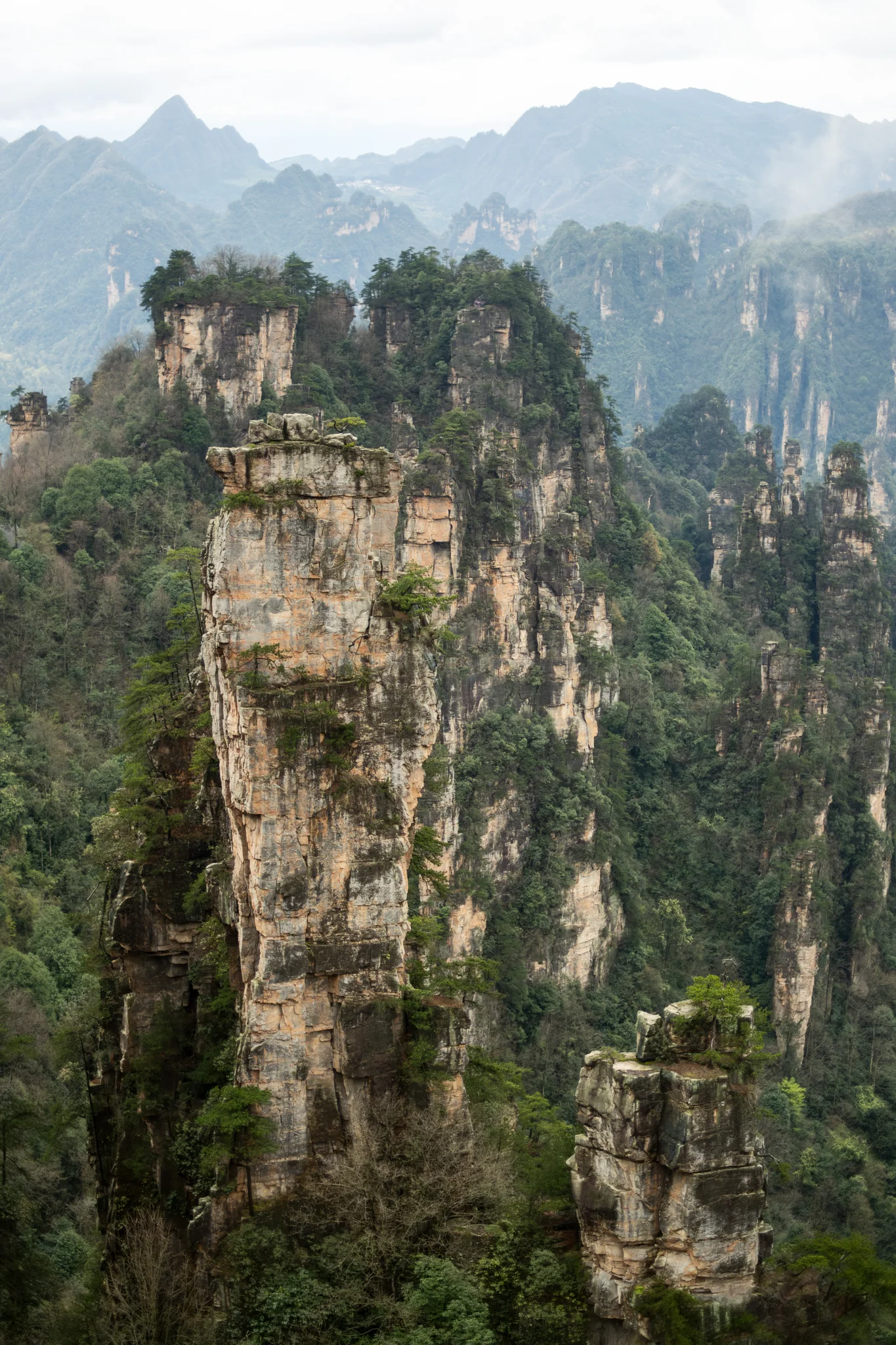 DSCF7129.webp