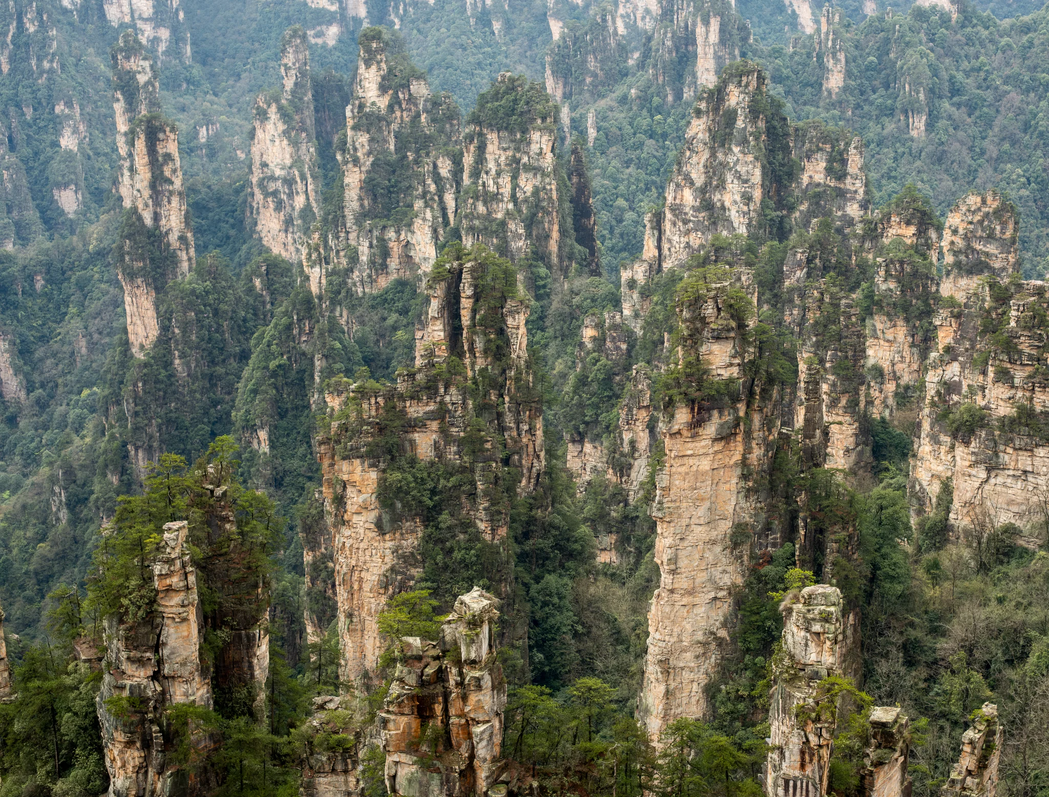 DSCF7133.webp