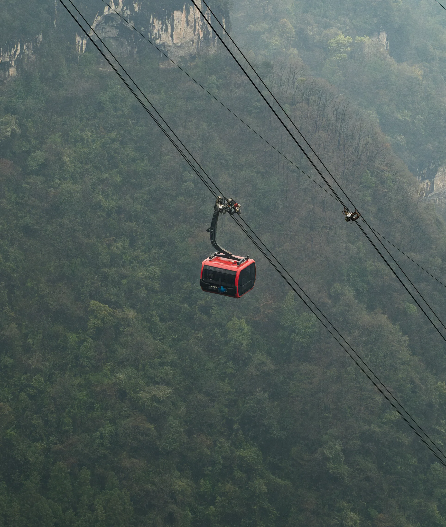 DSCF7448.webp