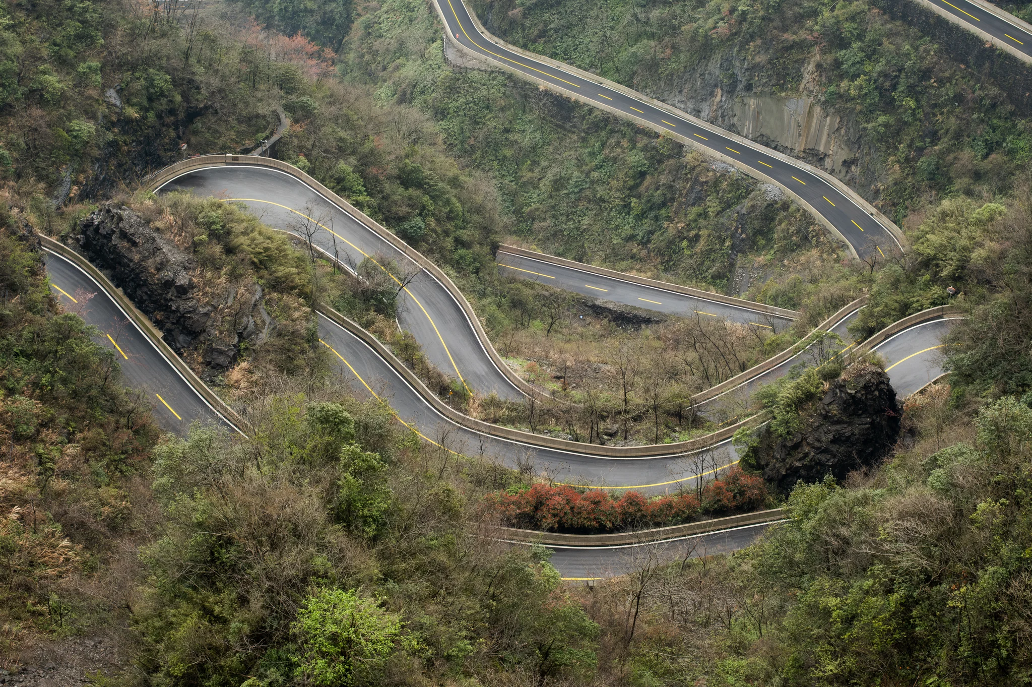 DSCF7457.webp
