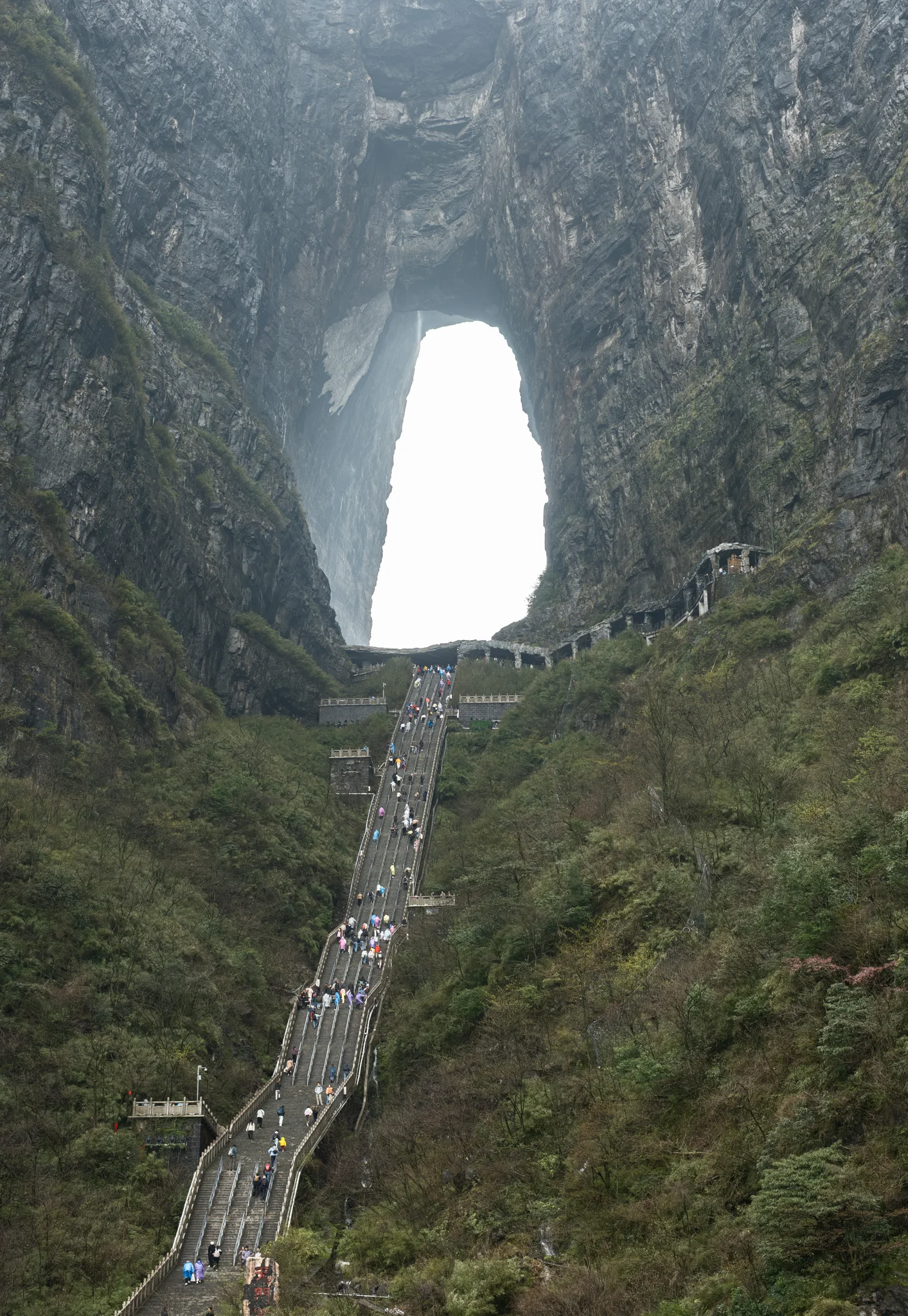 DSCF7460.webp