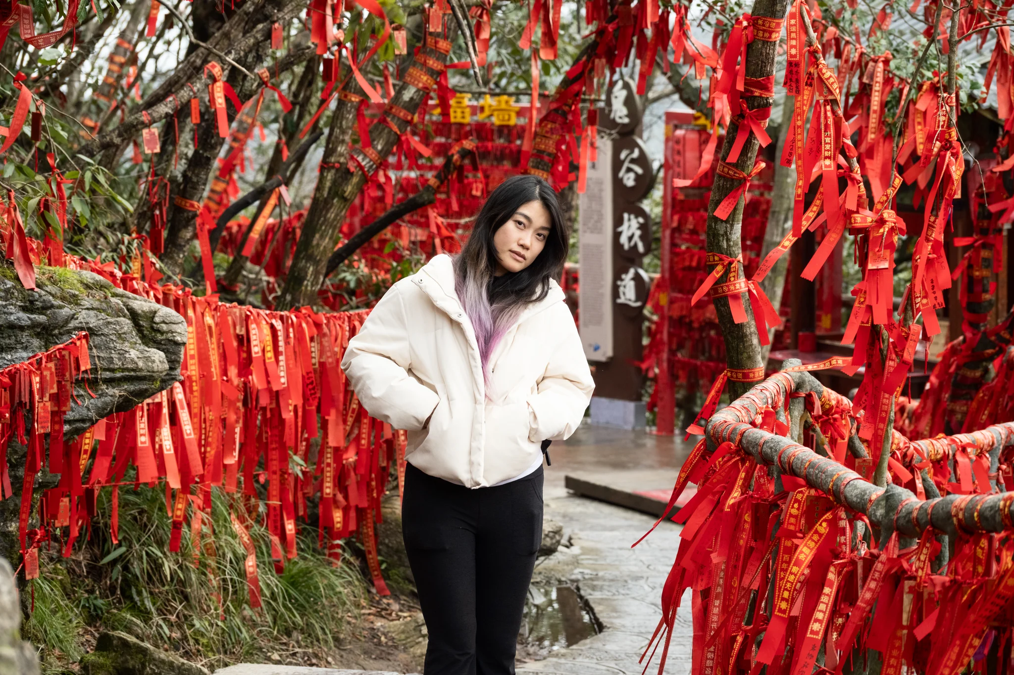 DSCF7527.webp