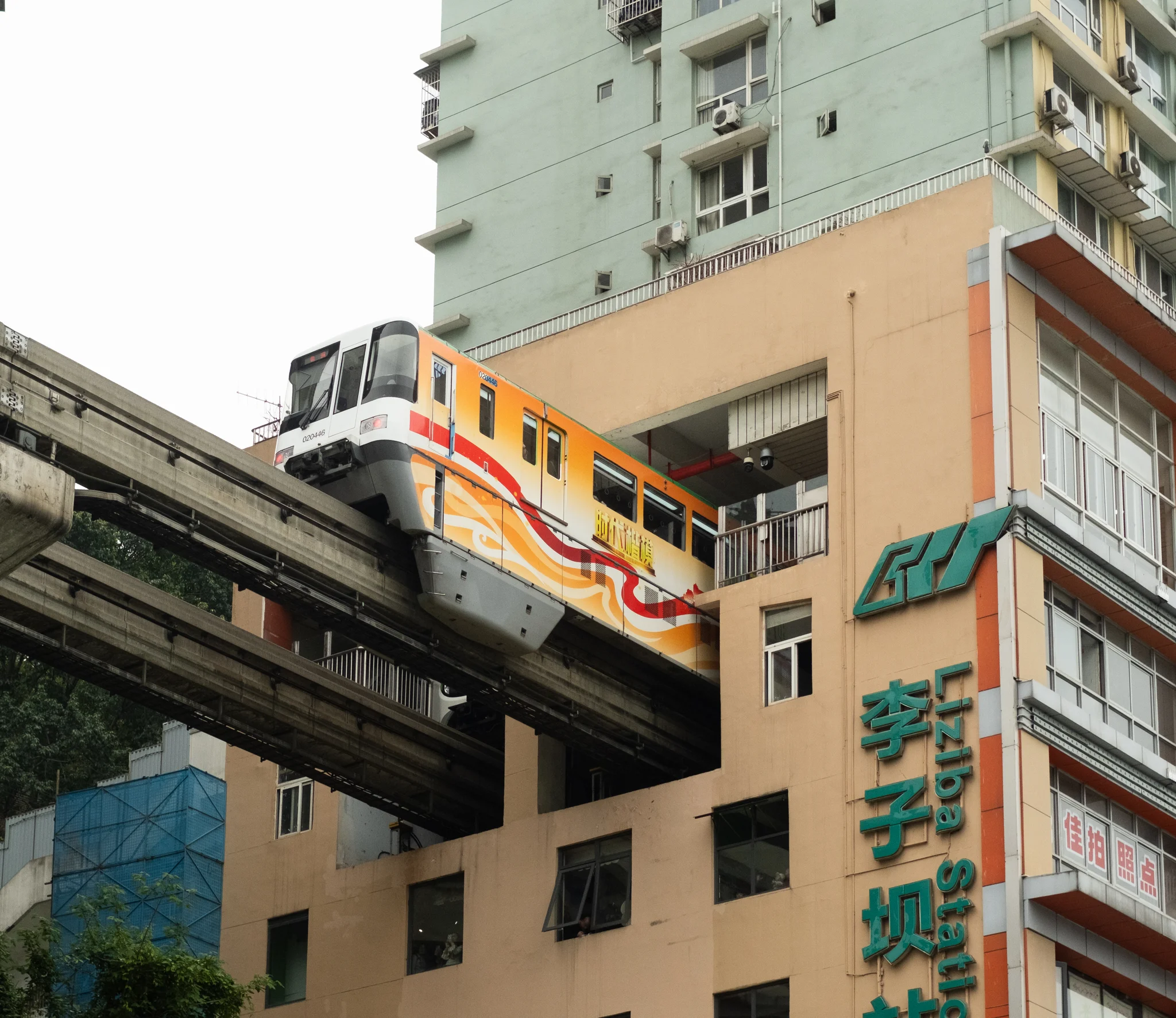 DSCF7589.webp